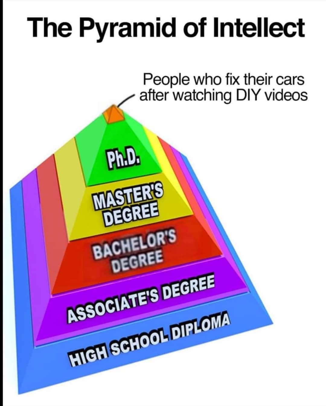 1000018100.jpg