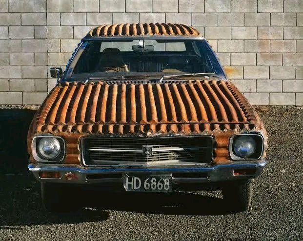 1000043534.jpg