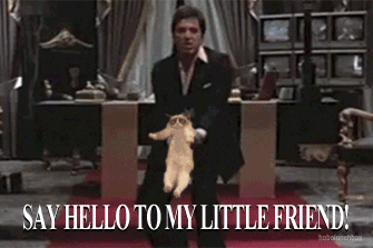 1744896681226.gif
