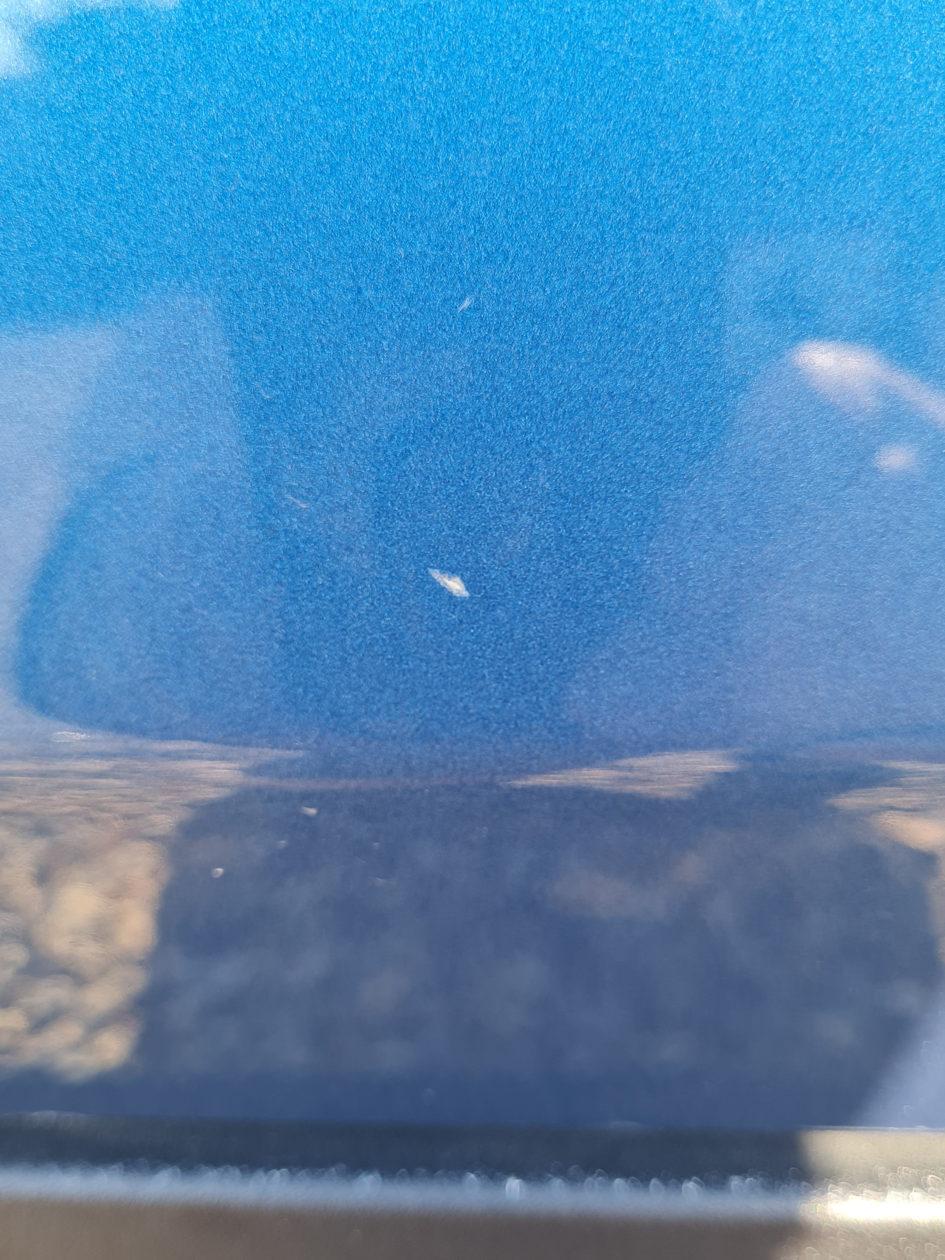 20250513_175152.jpg