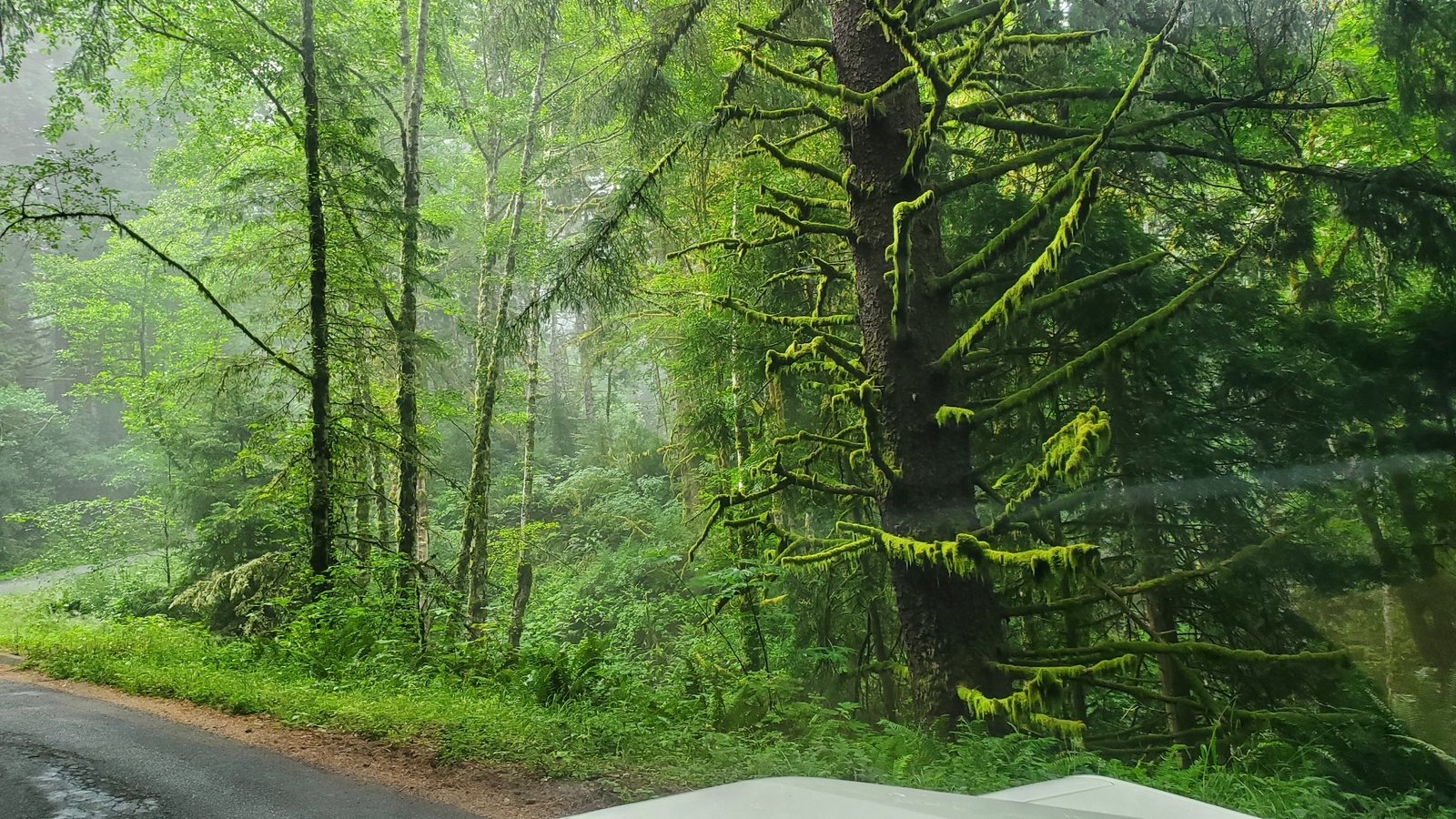 20250730_111153_large.jpg