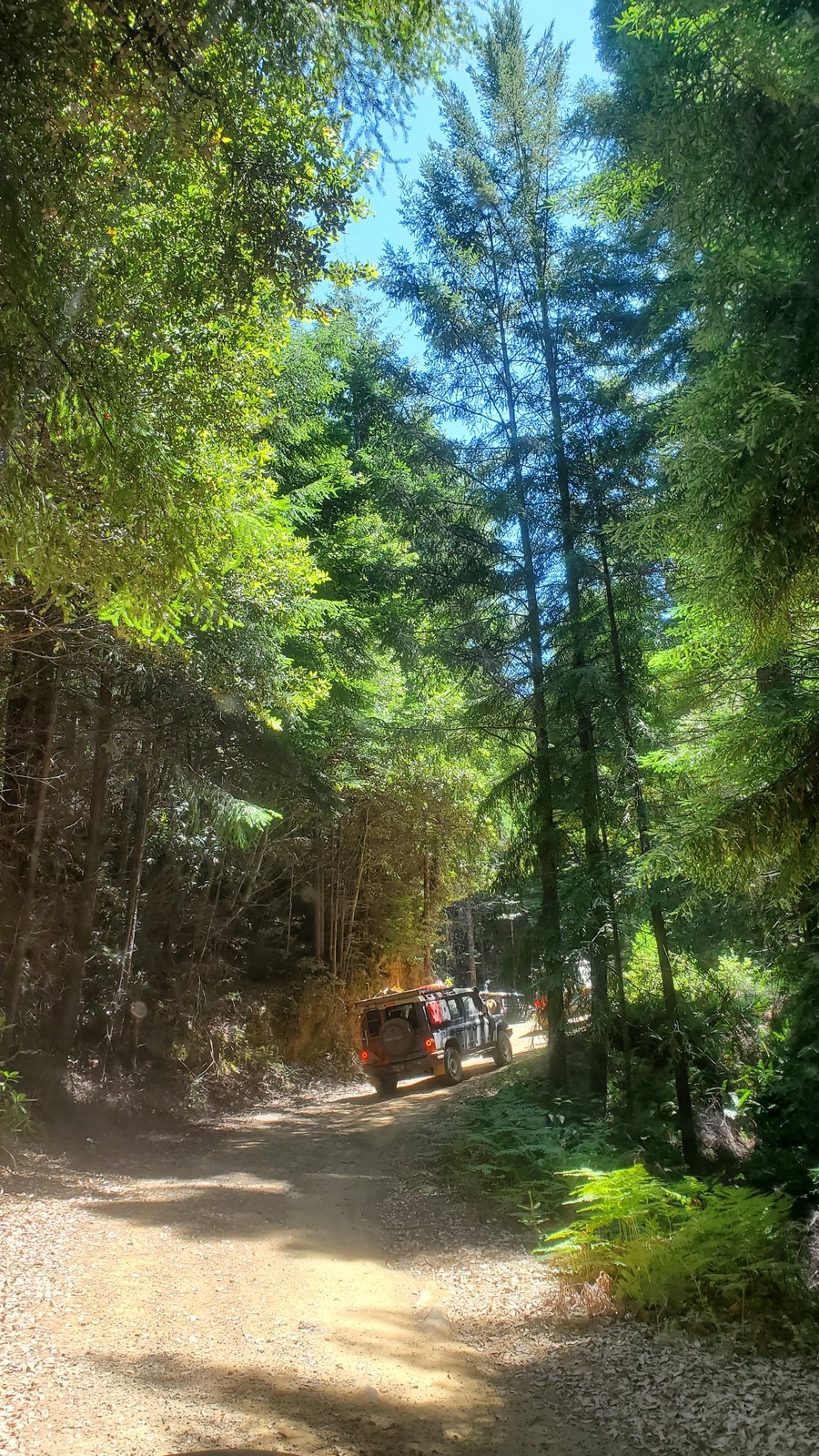 20250801_134731_large.jpg