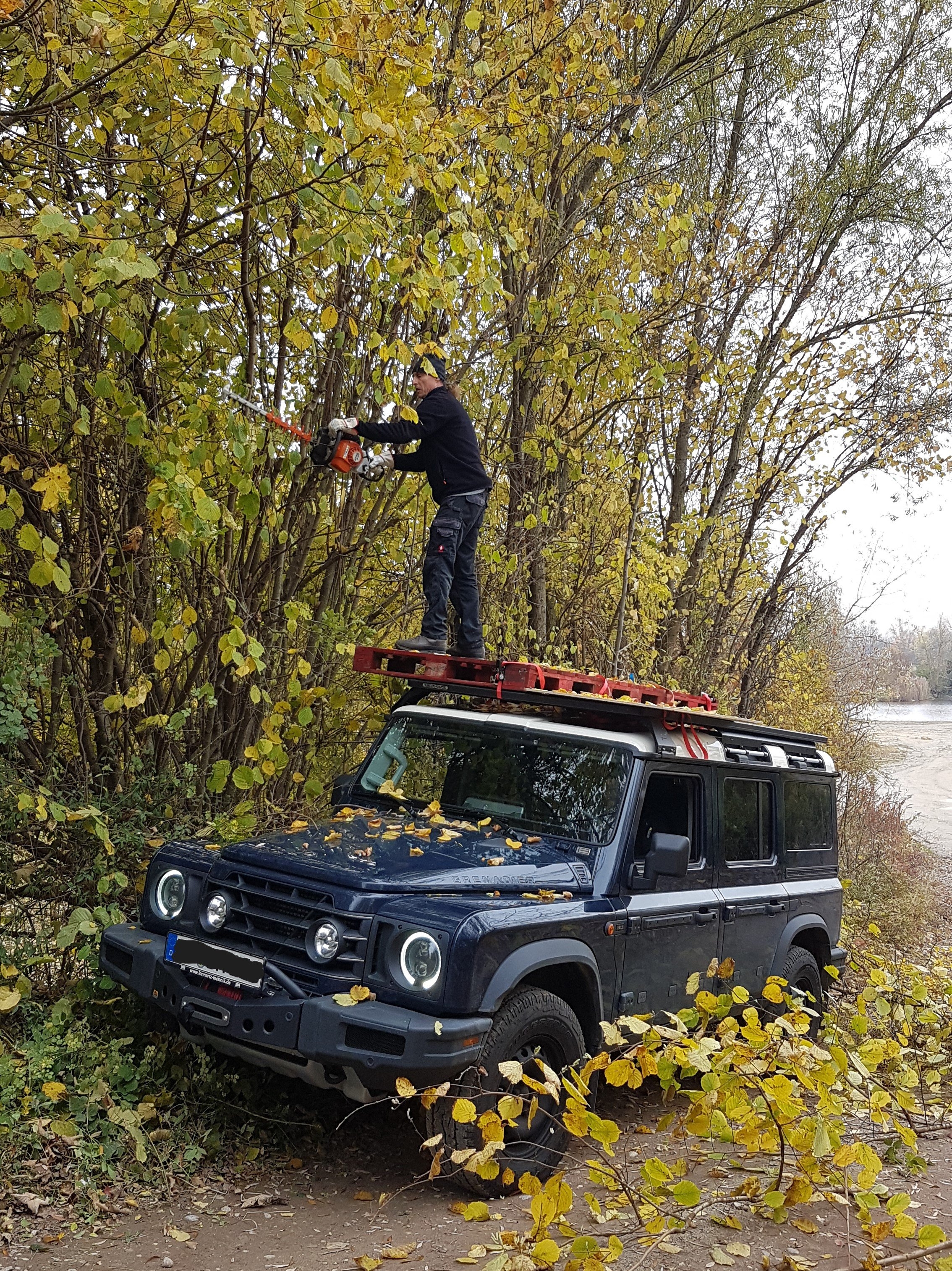 20251101 Heckenschneiden.jpg