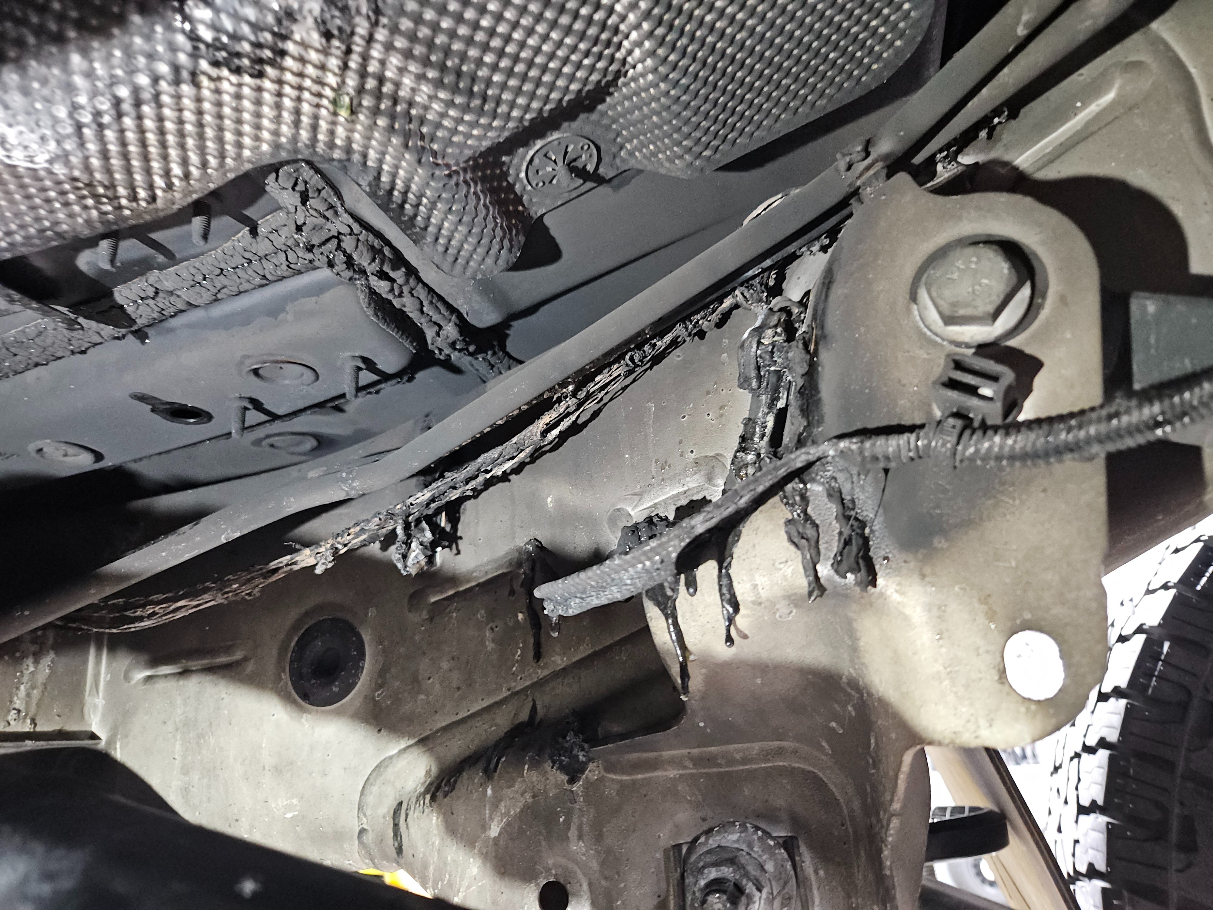 20251223_164847 (1).jpg