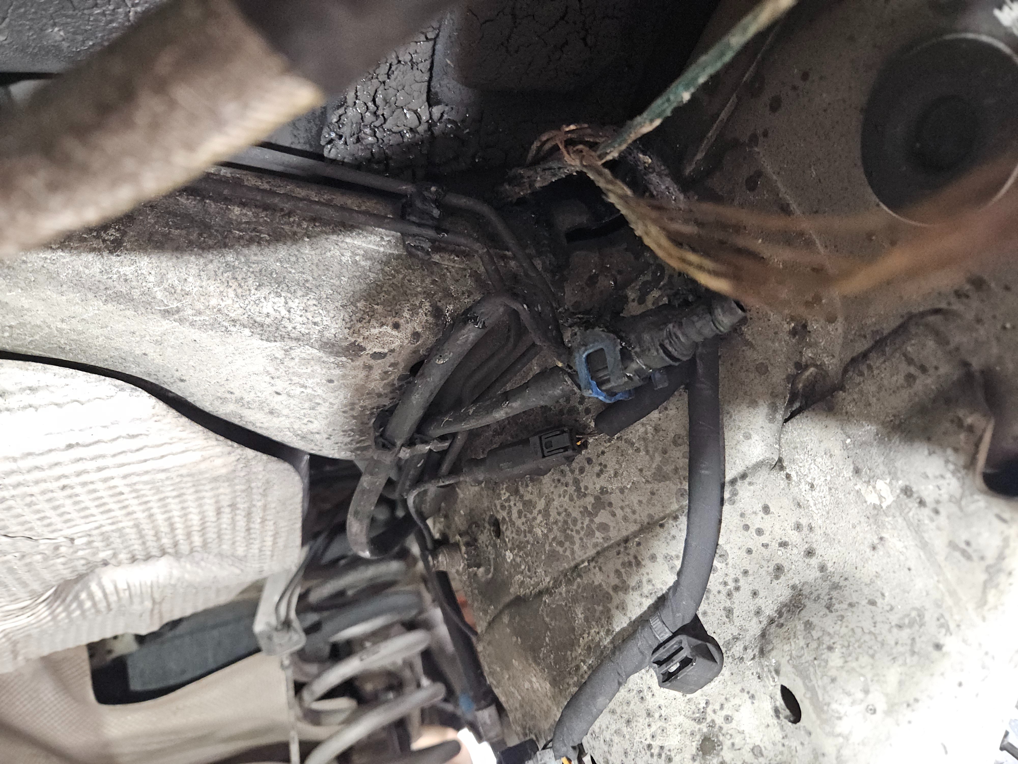 20251223_164902 (1).jpg