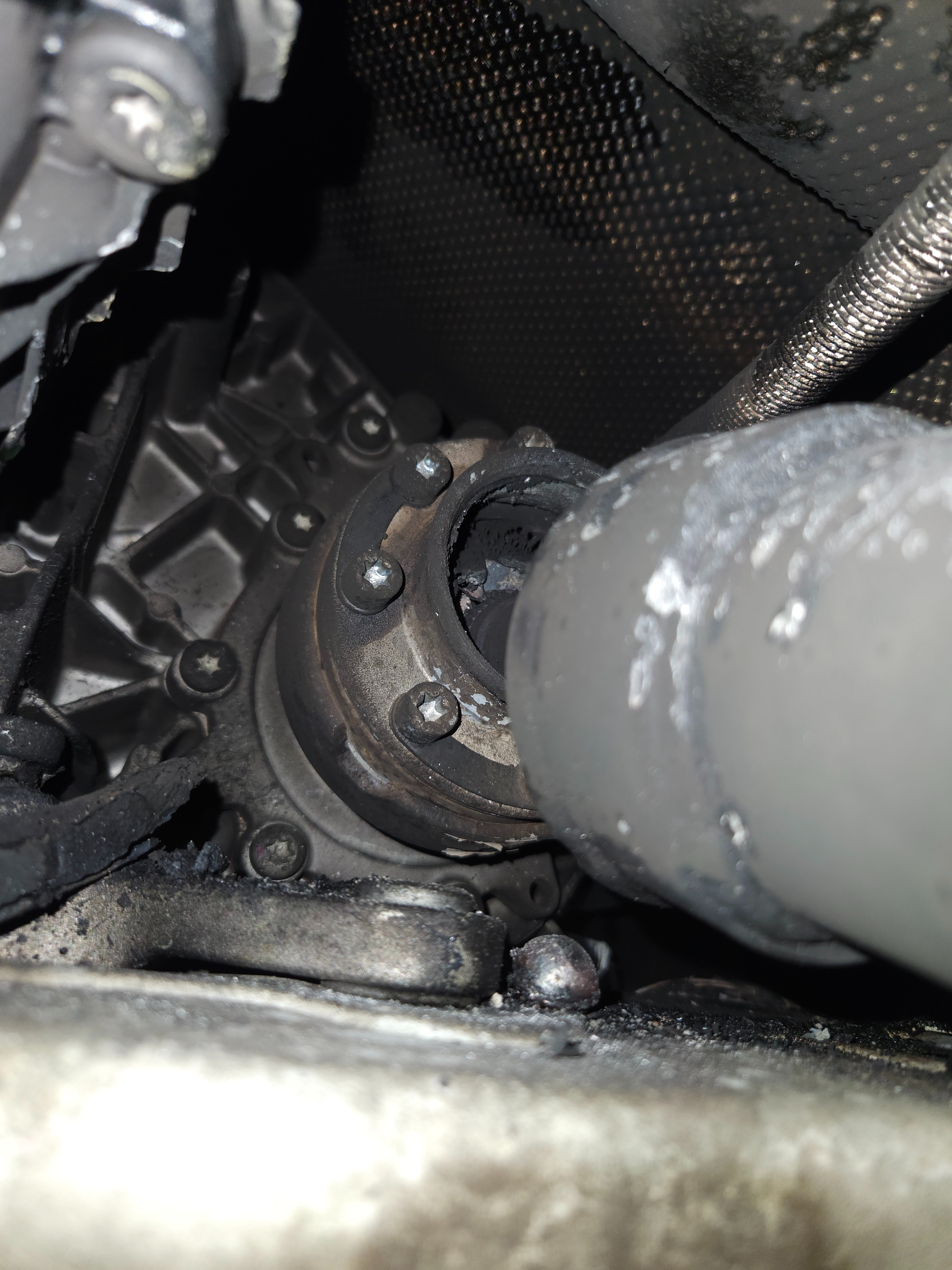 20251223_164929 (1).jpg