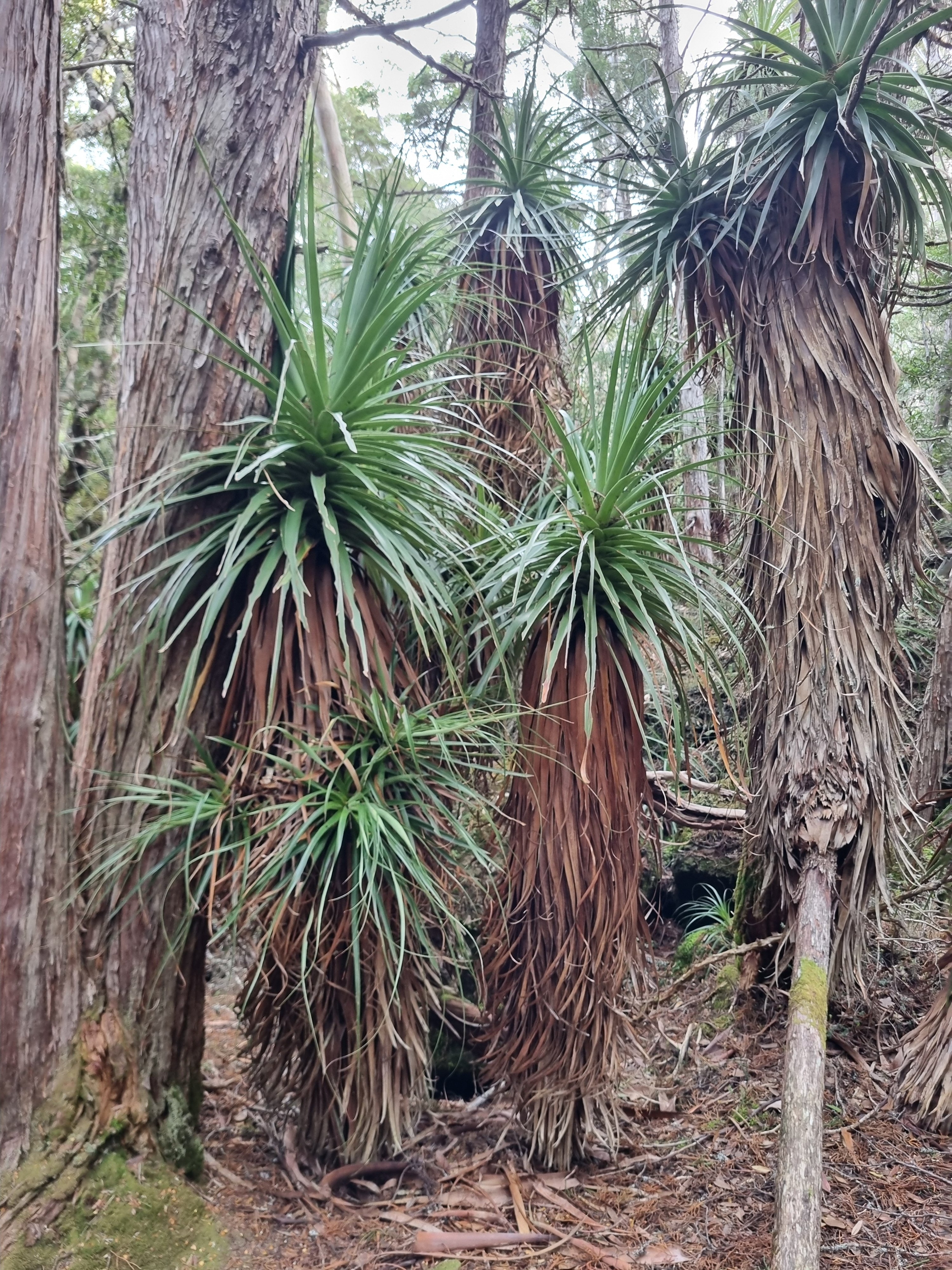 20260501_152117.jpg
