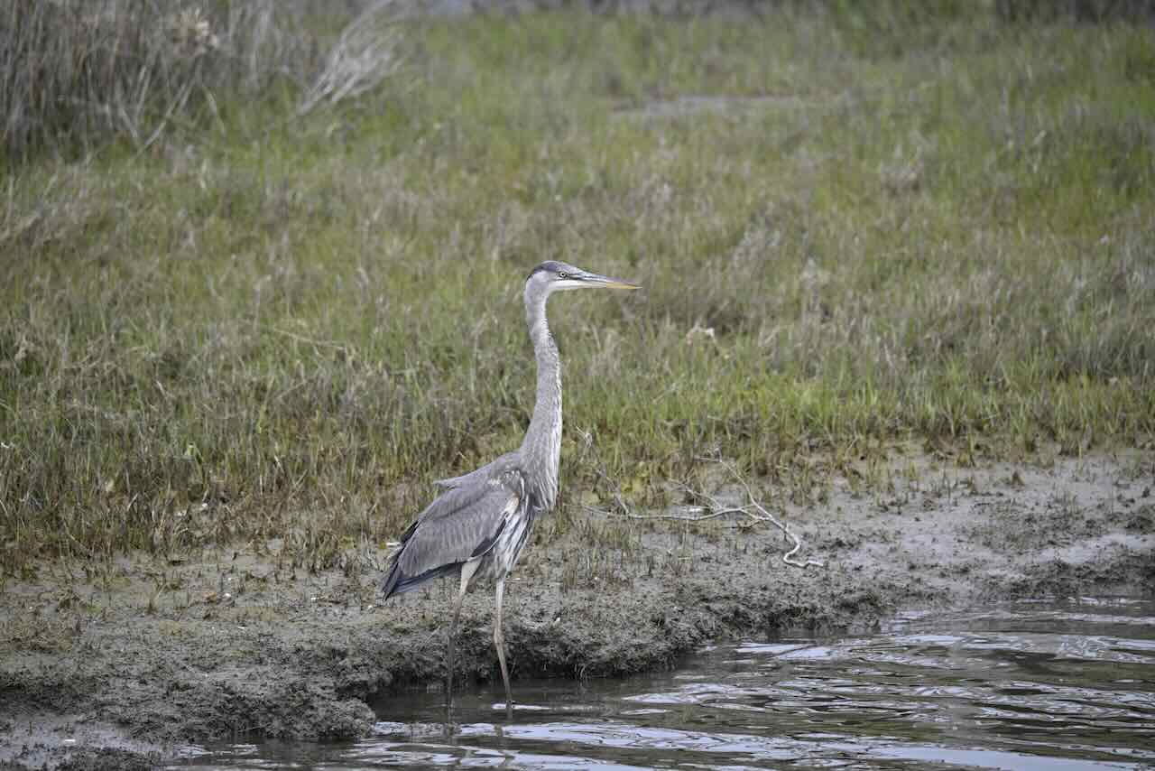 _DSC1210.jpeg