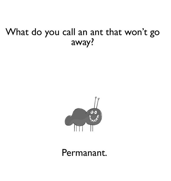 ant.png