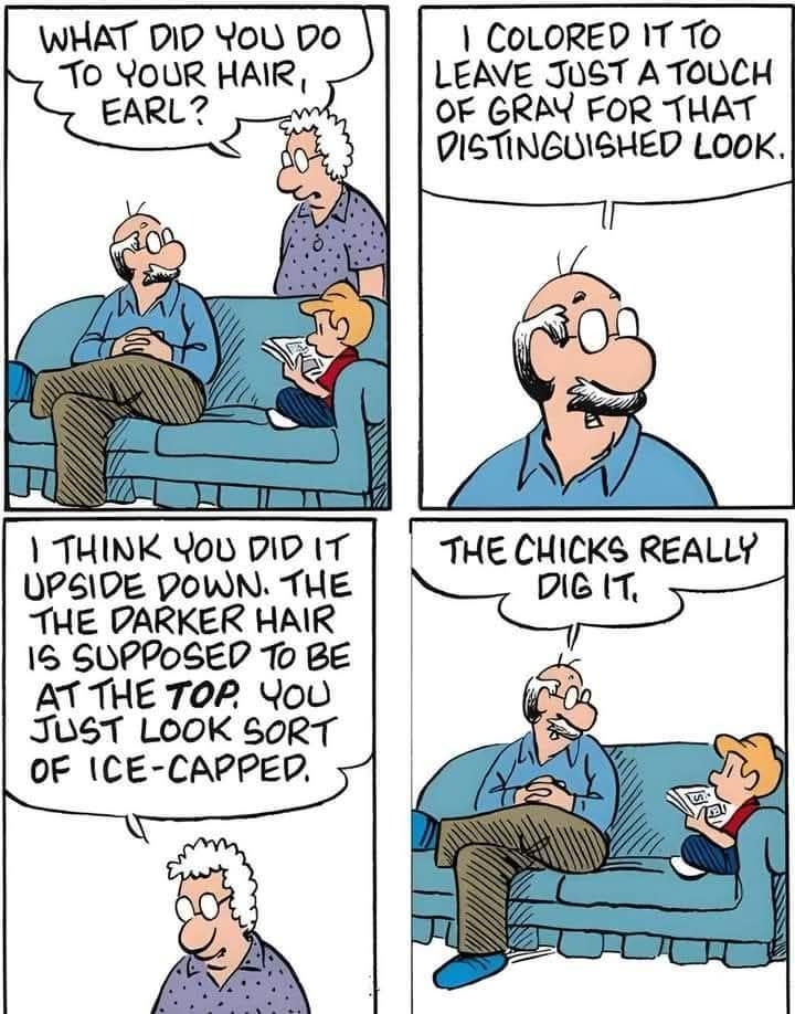 chicks.jpg