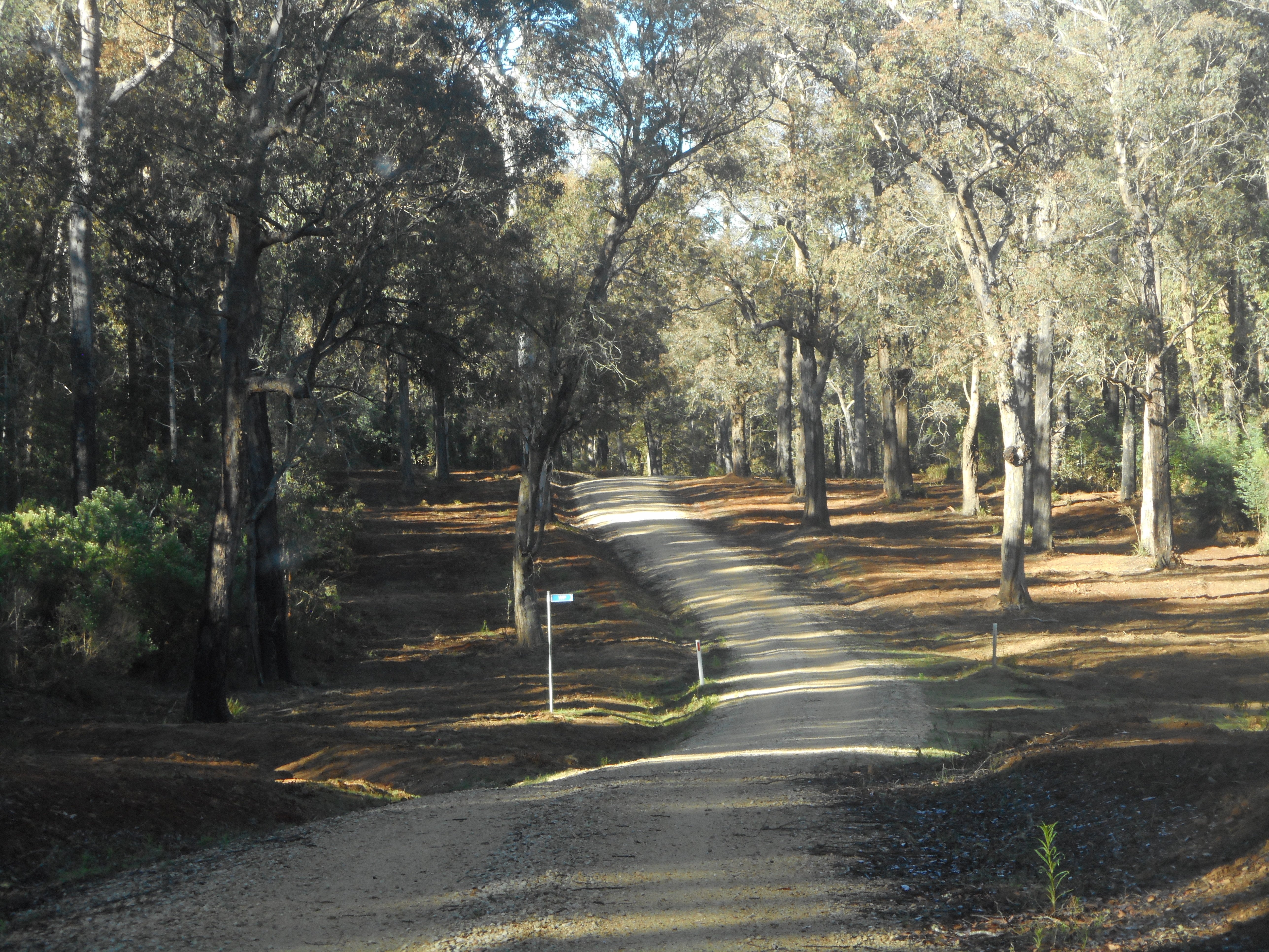 coast range road.JPG