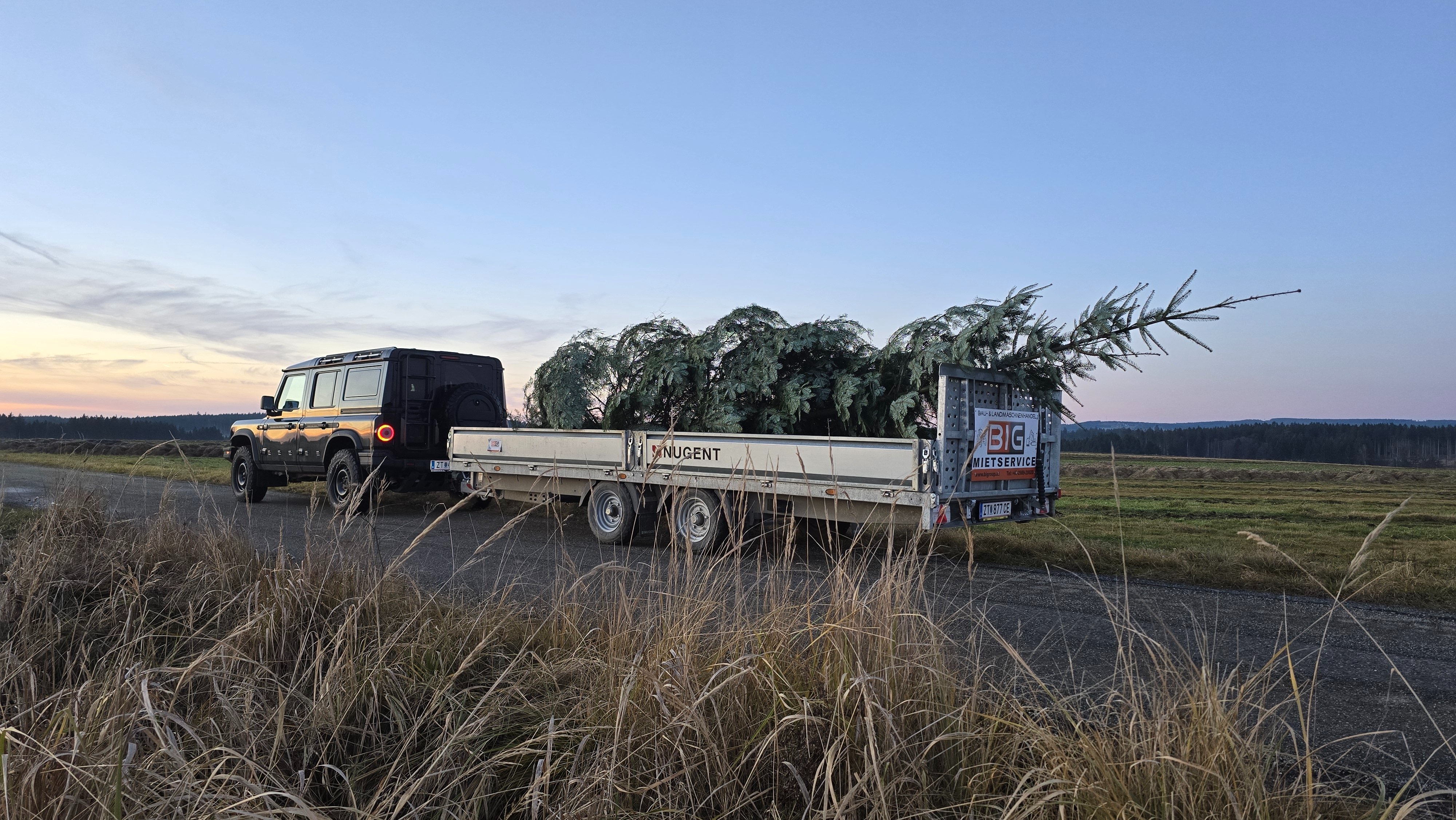 Coming home for Christmas.jpg