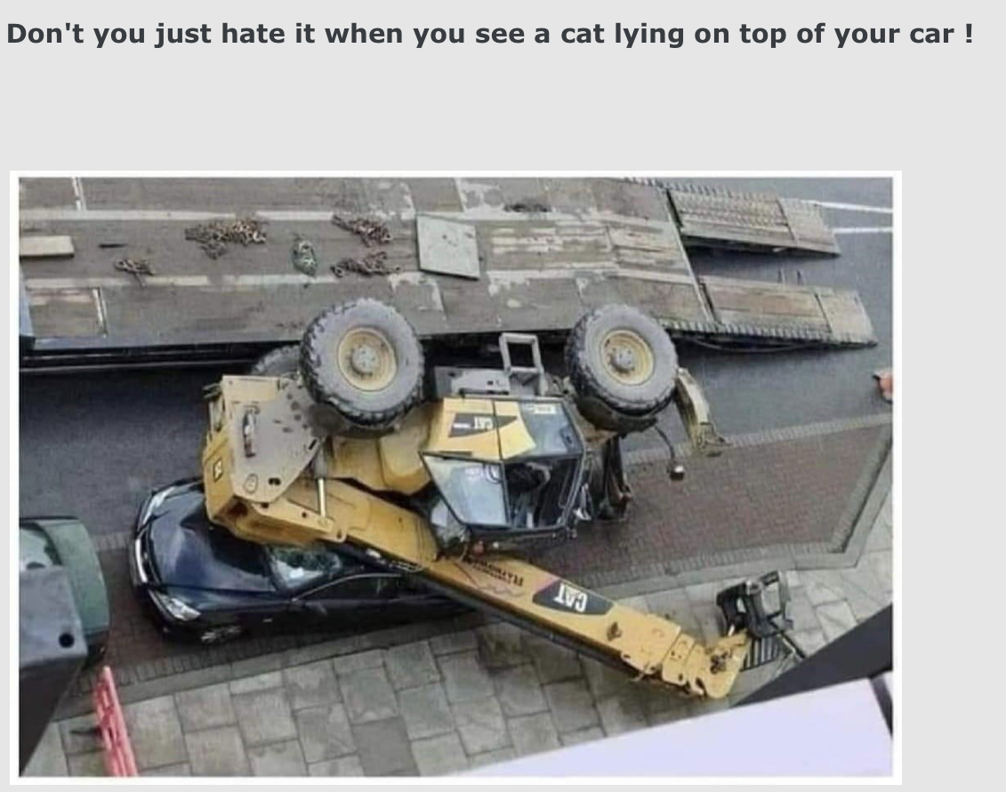 DISCO3.CO.UK - View topic - Images that may be construed as humorous.png