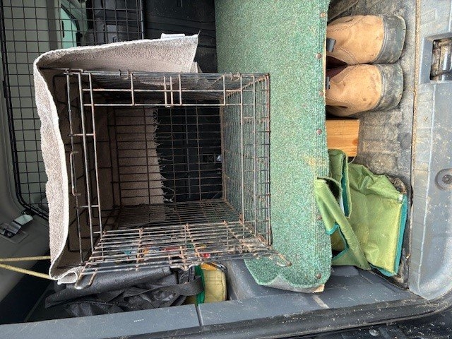 dog crate.jpg