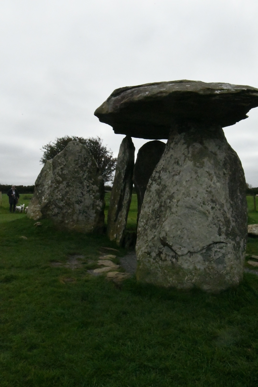 DSC_2145.jpeg