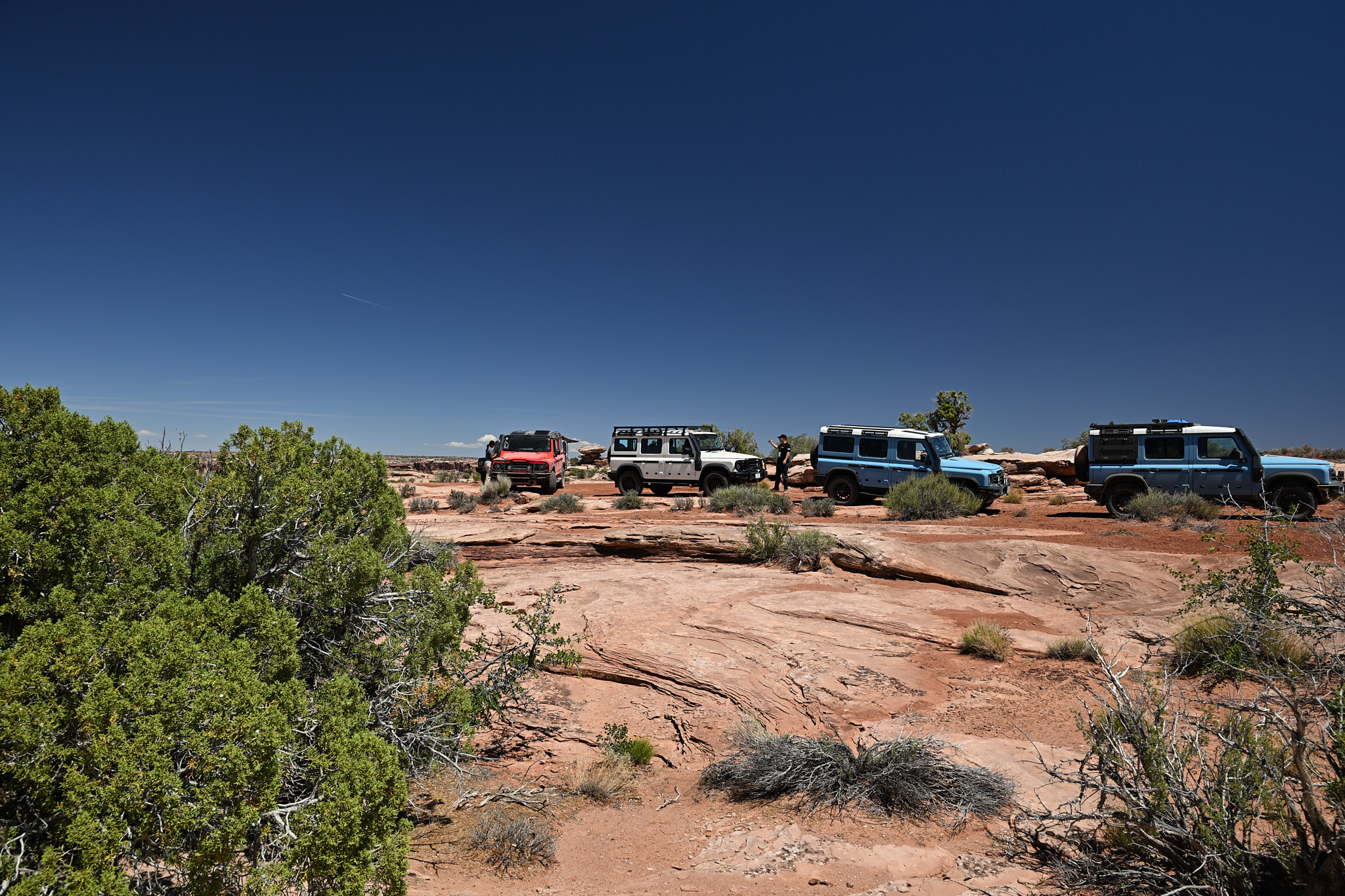 DSC_2291.jpg
