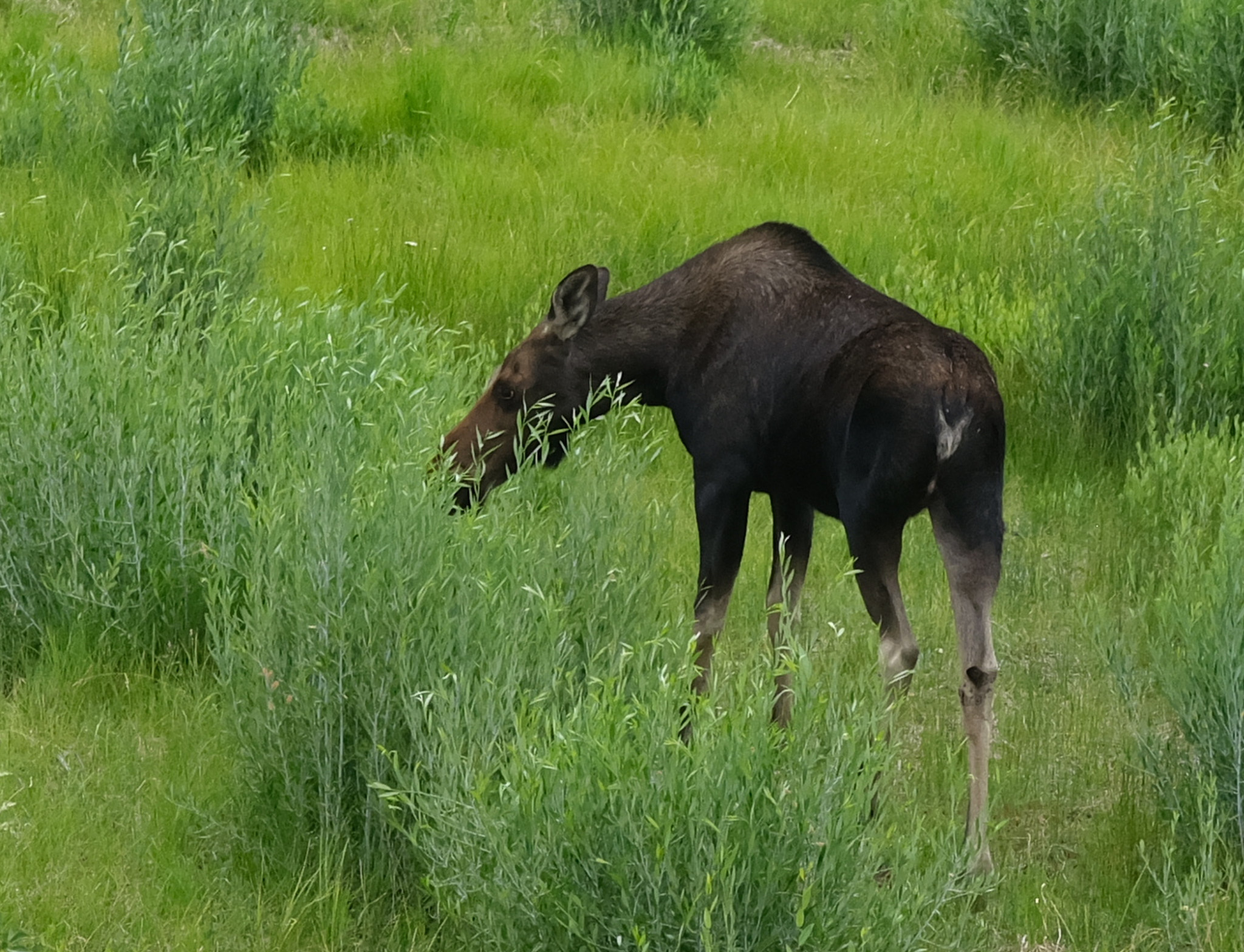 DSCF0059.jpg