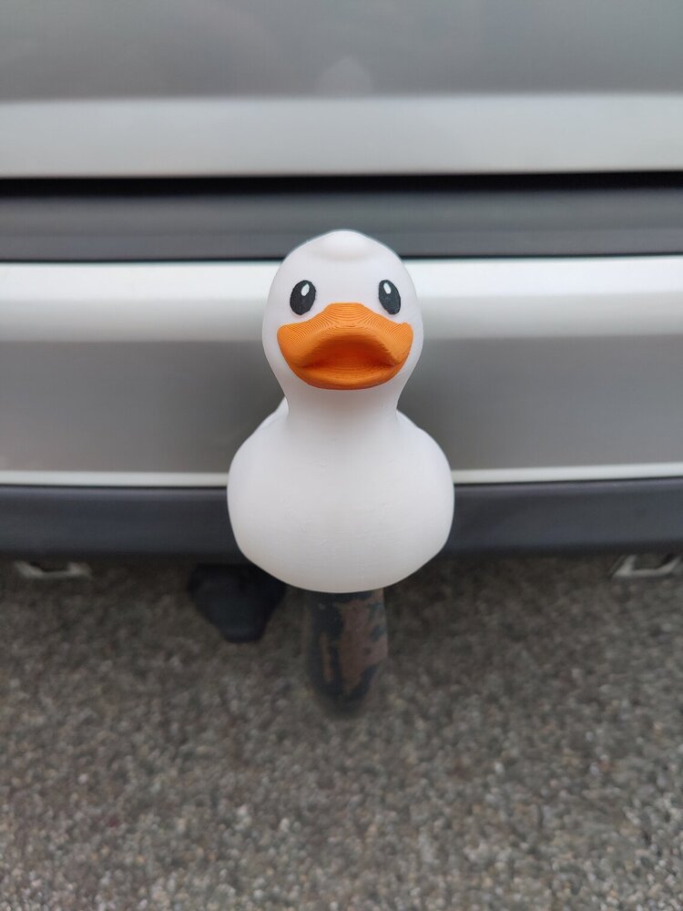 duck.jpg