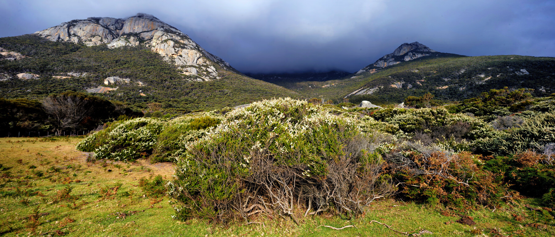 Flinders Island Day 7 RAW - 0011-DxO_DeepPRIME XD3_stitch.jpg