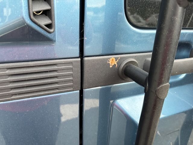 Gren to Carlisle spider - 1.jpeg