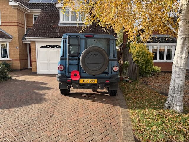 Grenadier Poppy - 1.jpeg