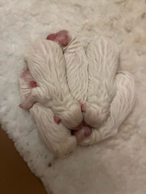 image0.jpeg