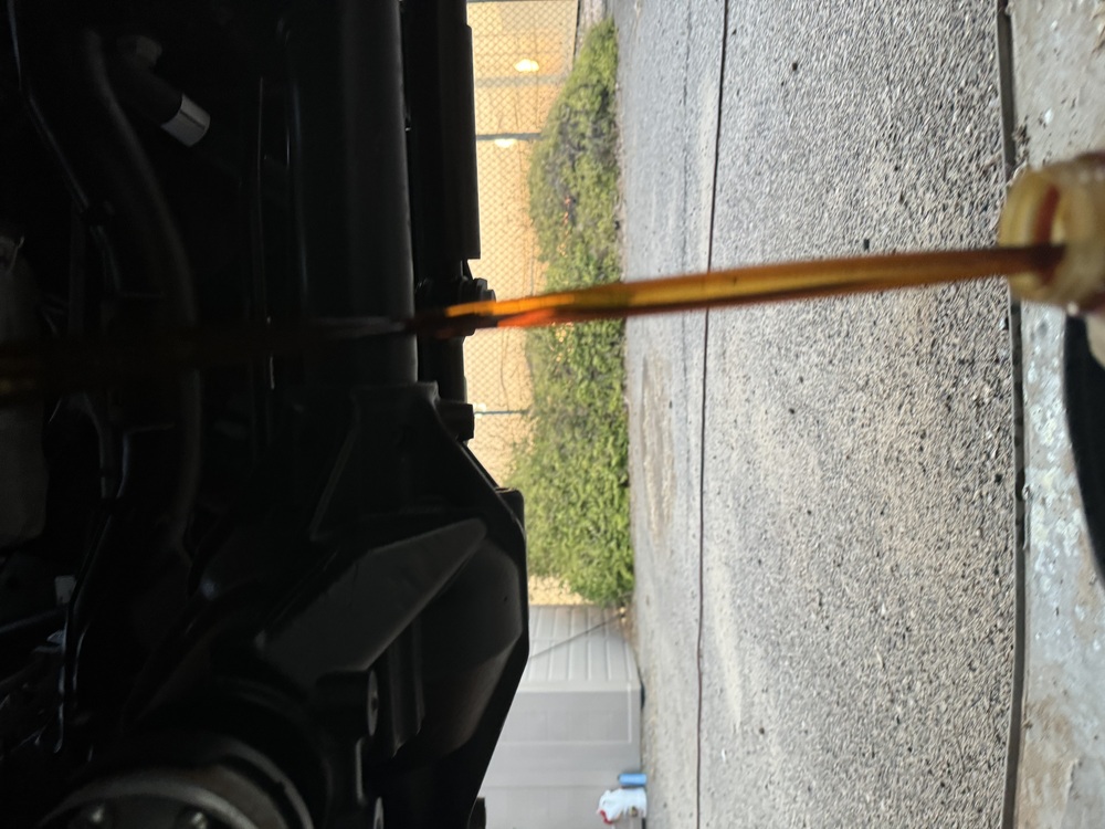 IMG_2075.jpeg