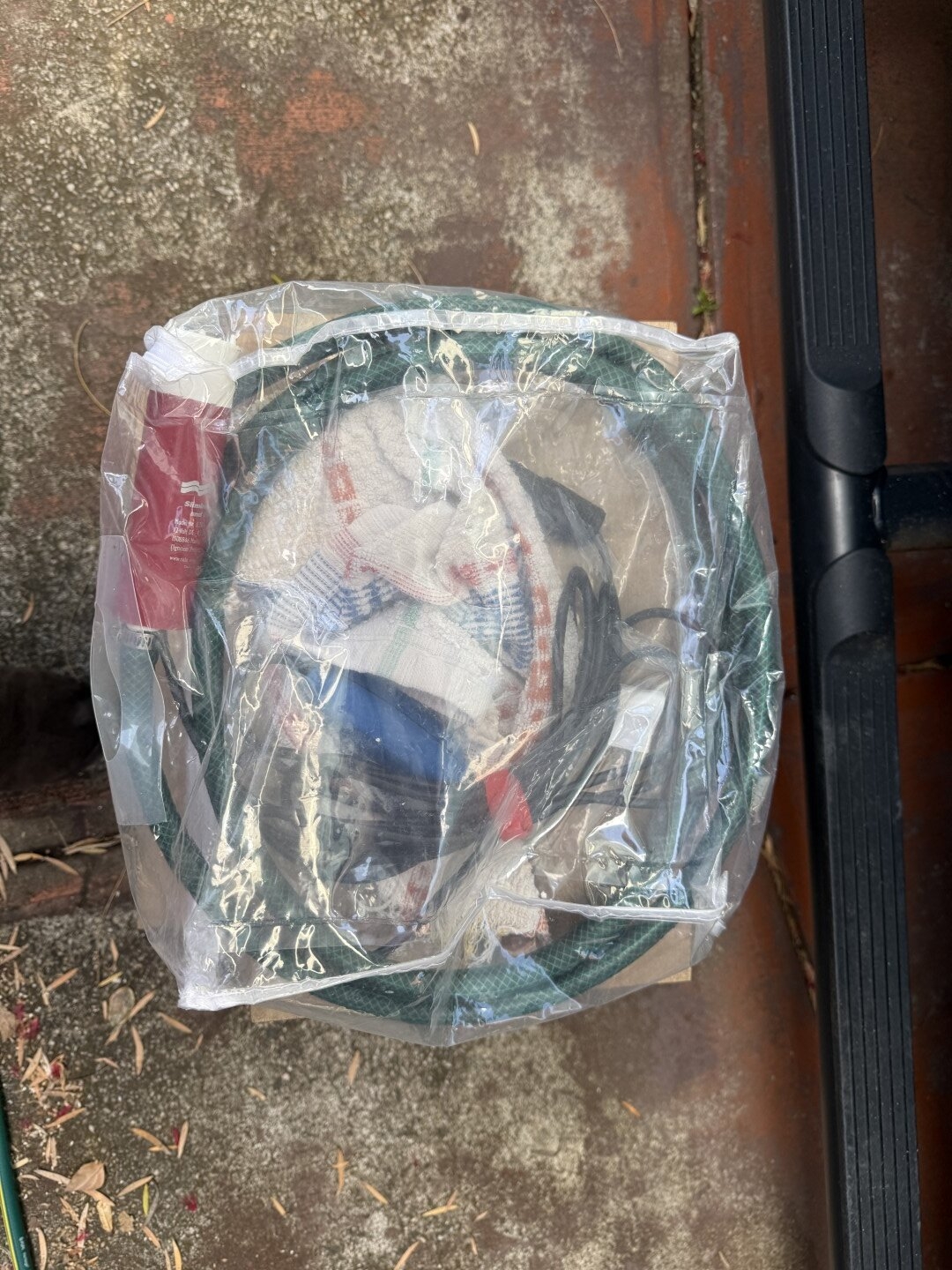 IMG_3500 (Large).JPG