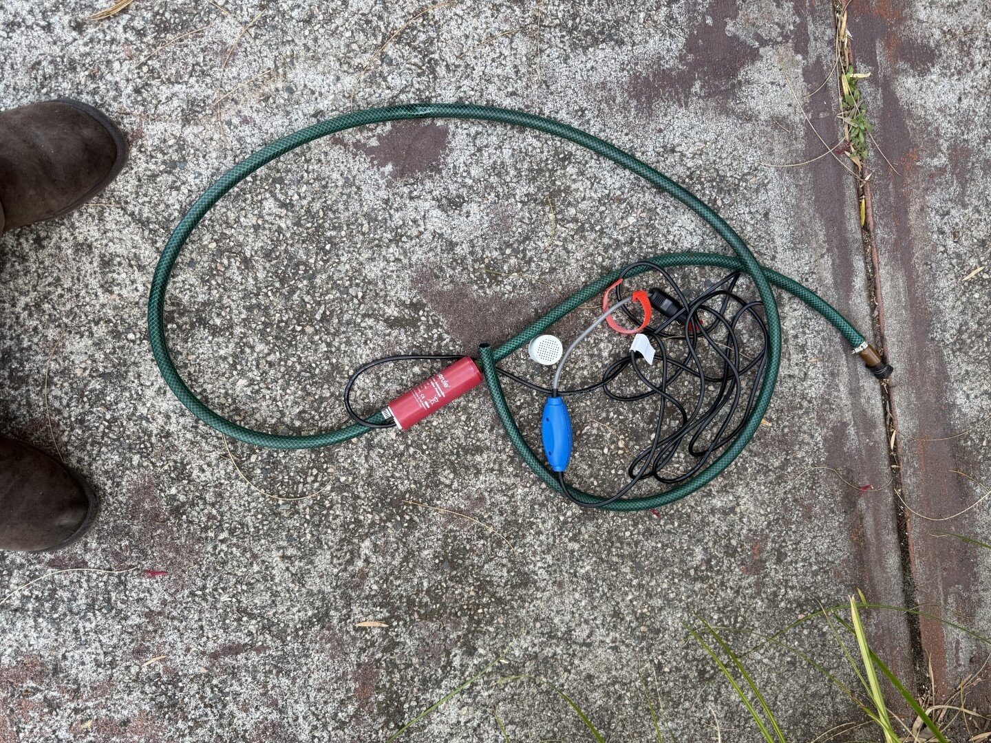 IMG_3503 (Large).JPG