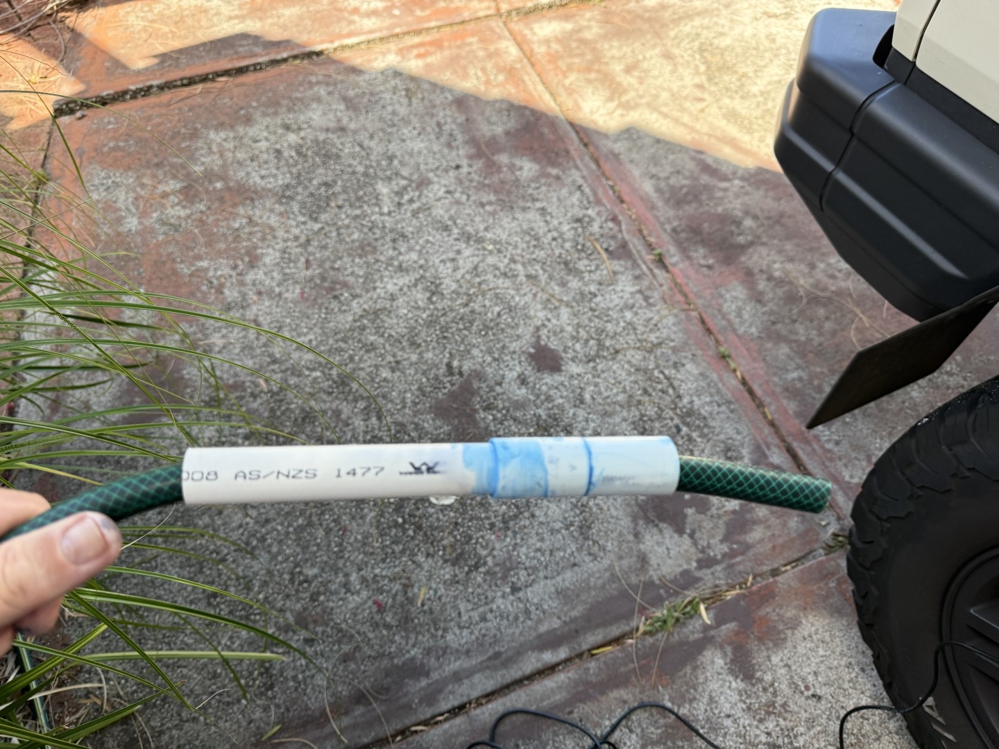 IMG_3506 (Large).JPG