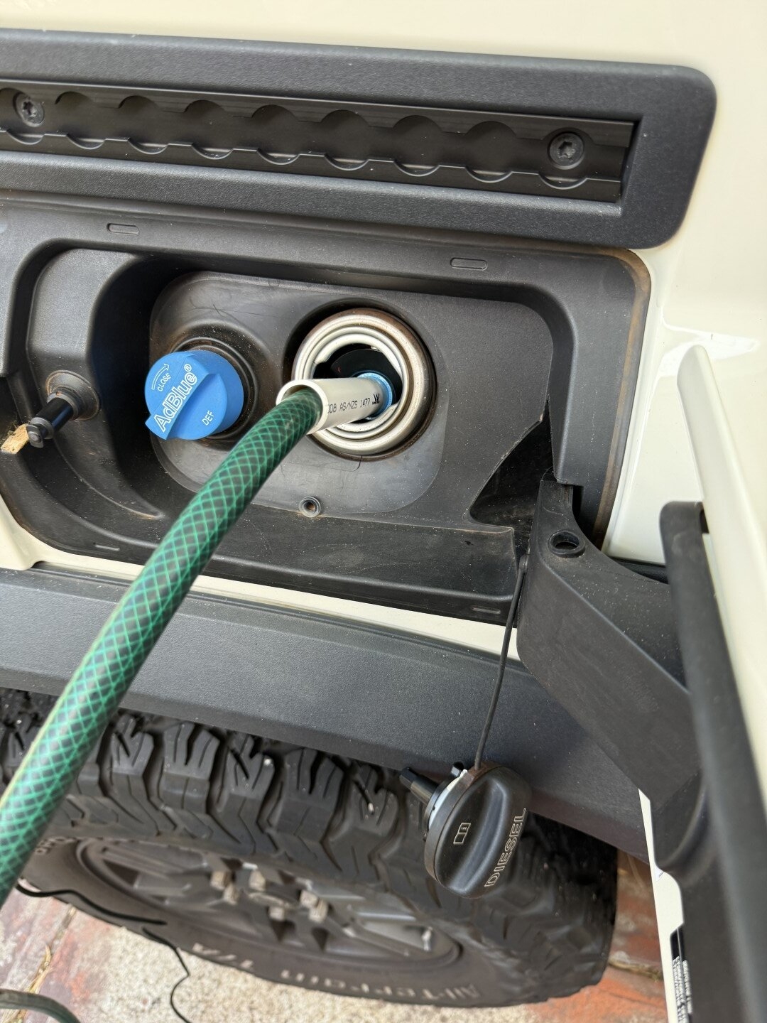 IMG_3507 (Large).JPG