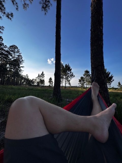 IMG_4905.jpeg