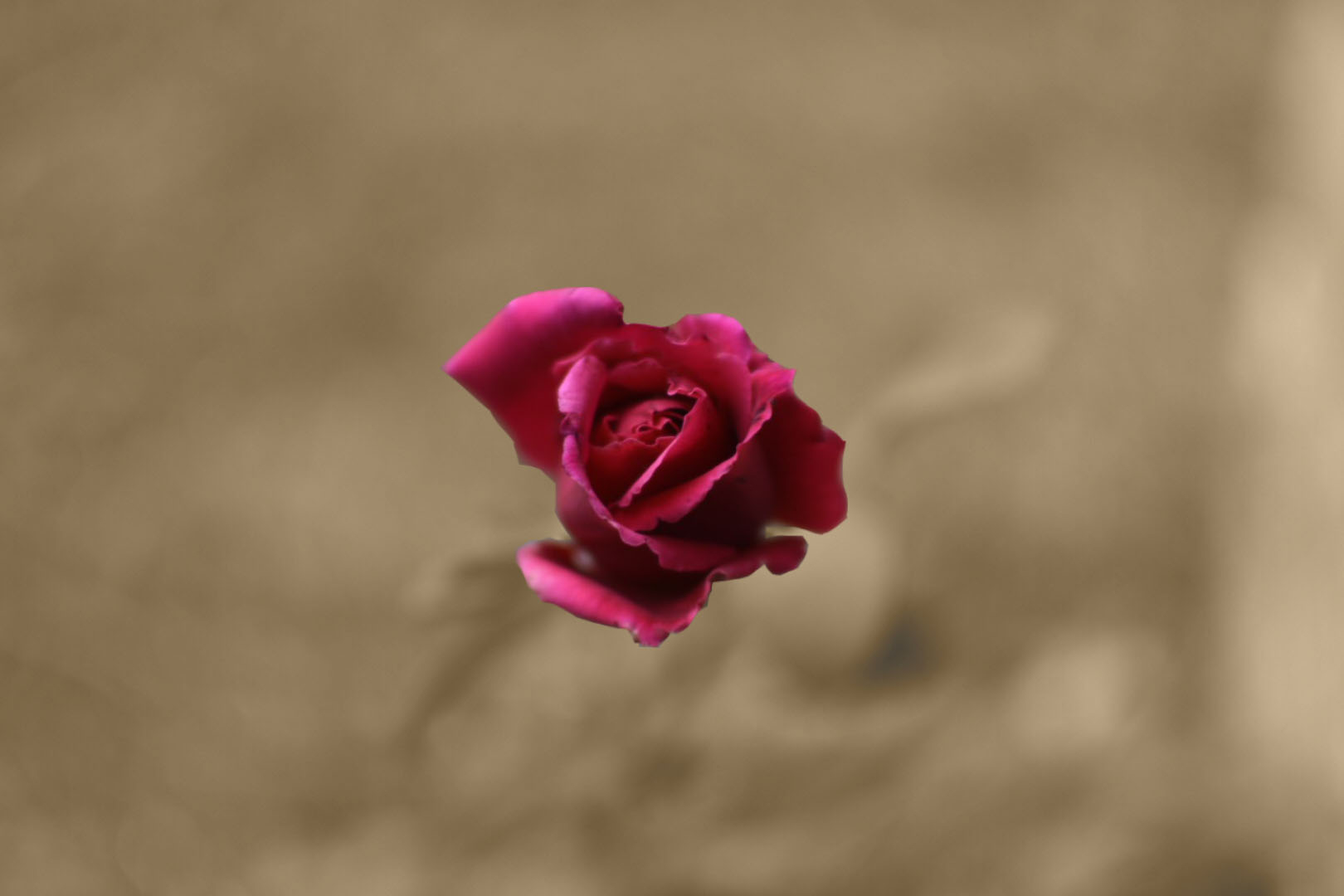 IMG_5130 copia 2.jpg