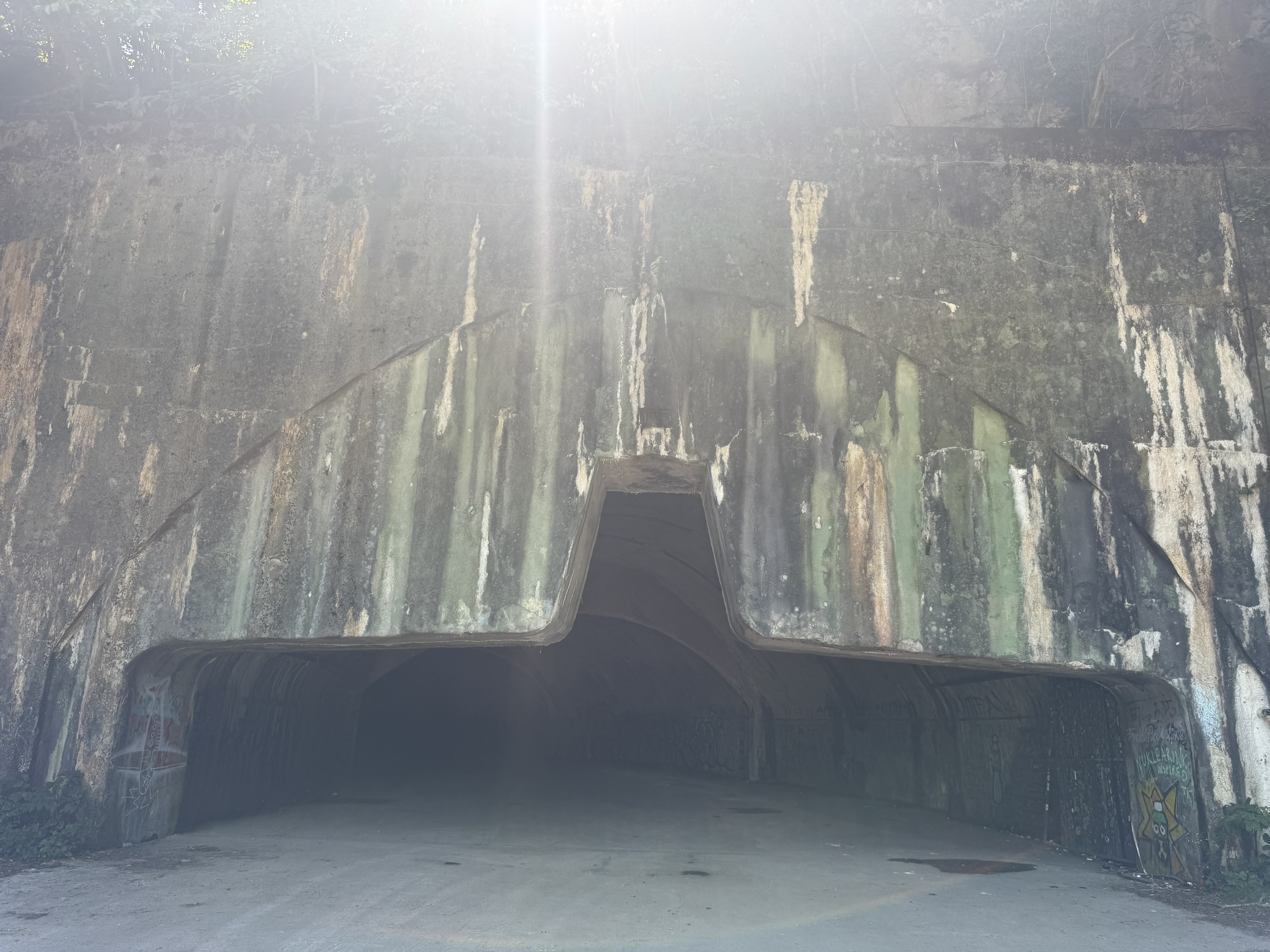 IMG_6014.jpeg