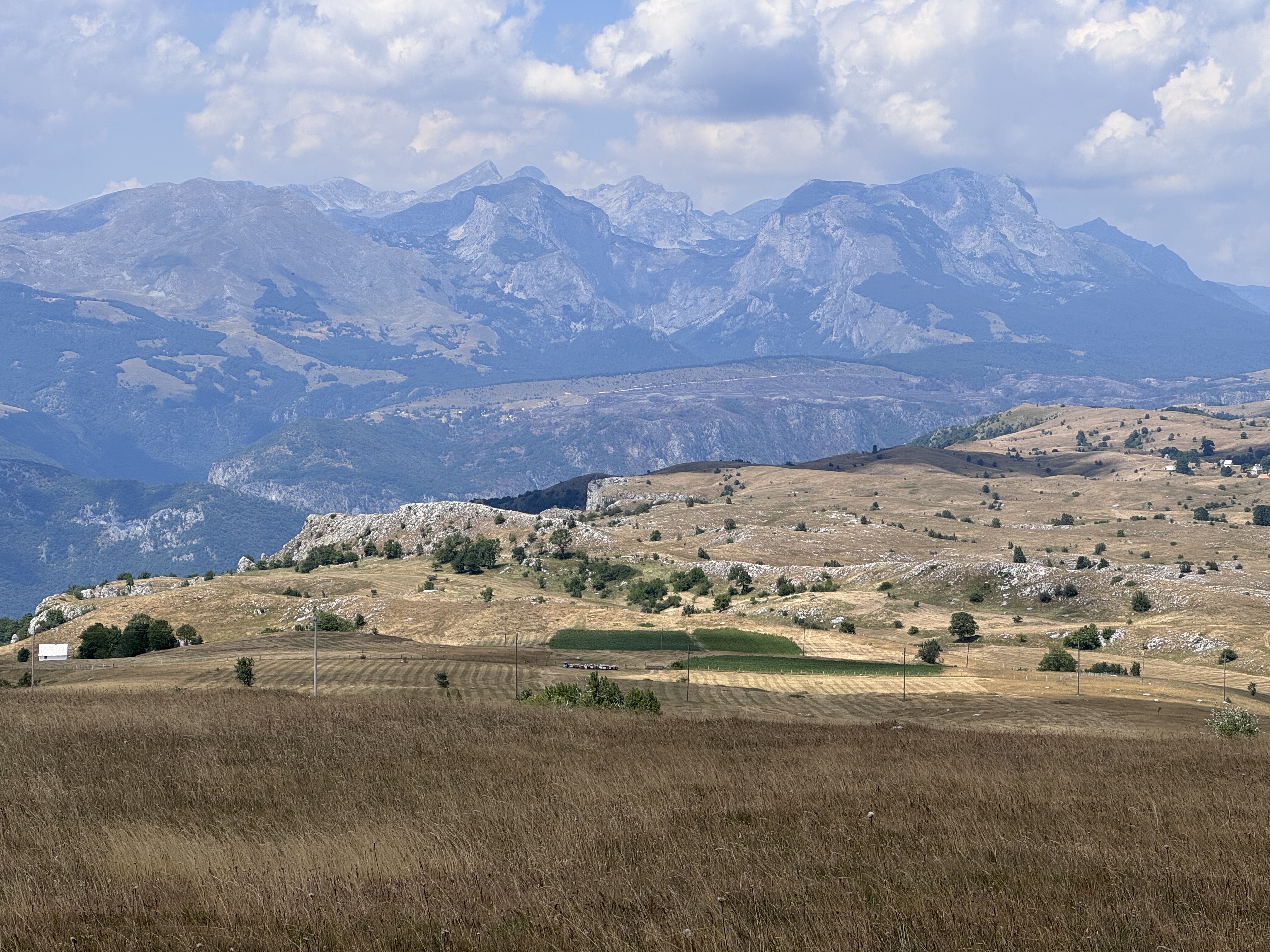 IMG_6140.jpeg