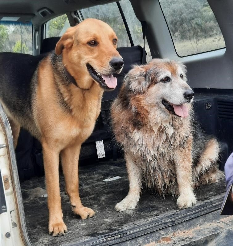 jack ruben michelle (2).jpg