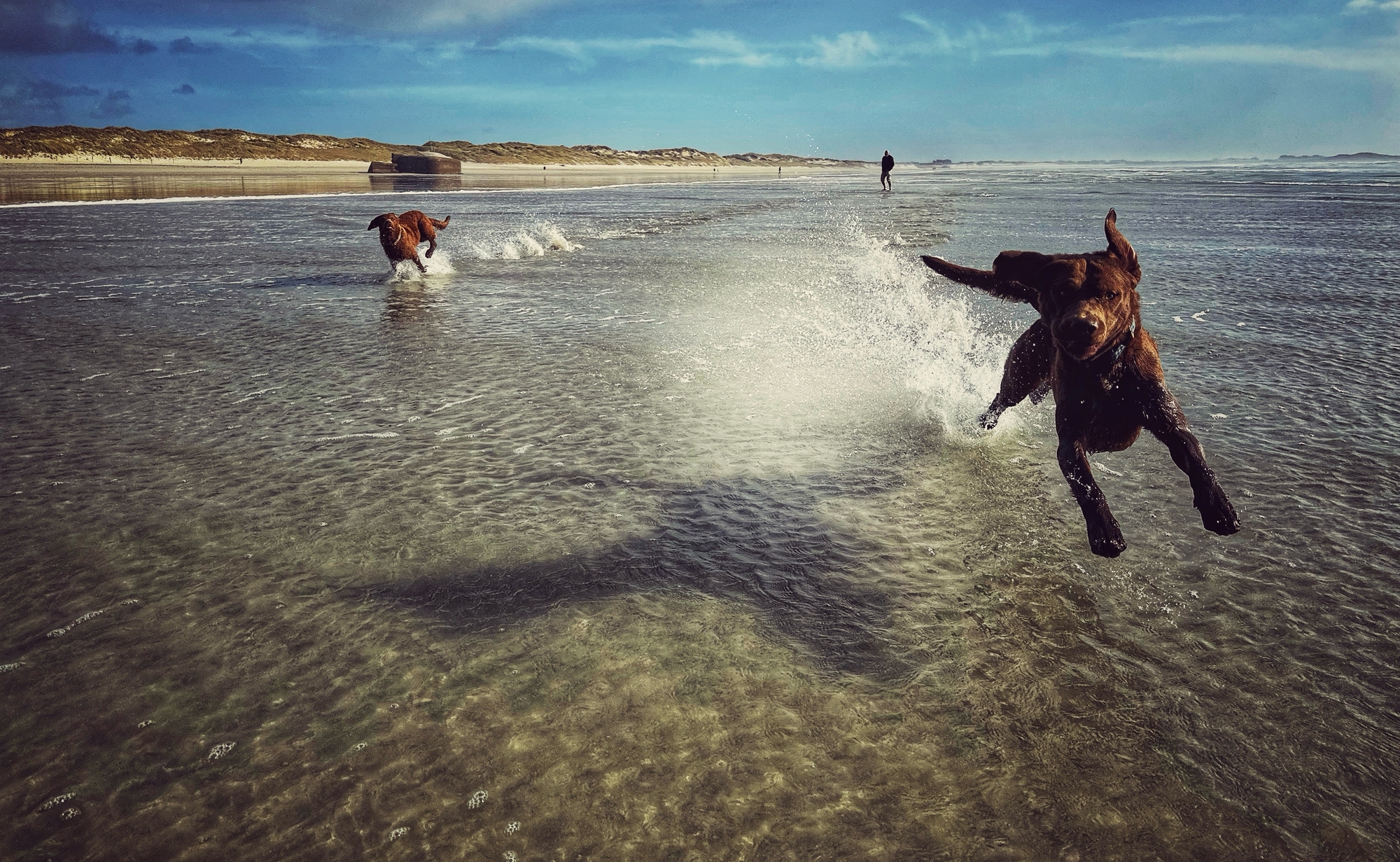 La Torche speedtest.JPG