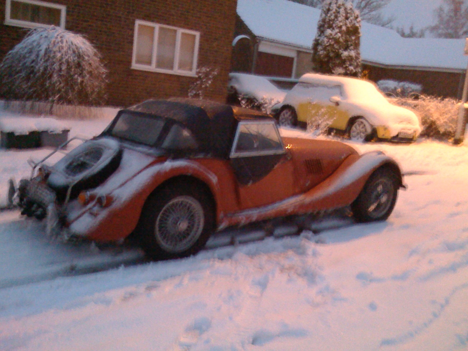 Mog in Snow - 1.jpeg