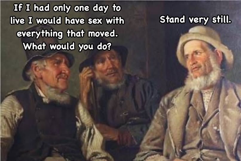 moved.jpg