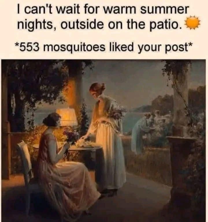 mozzies.jpg