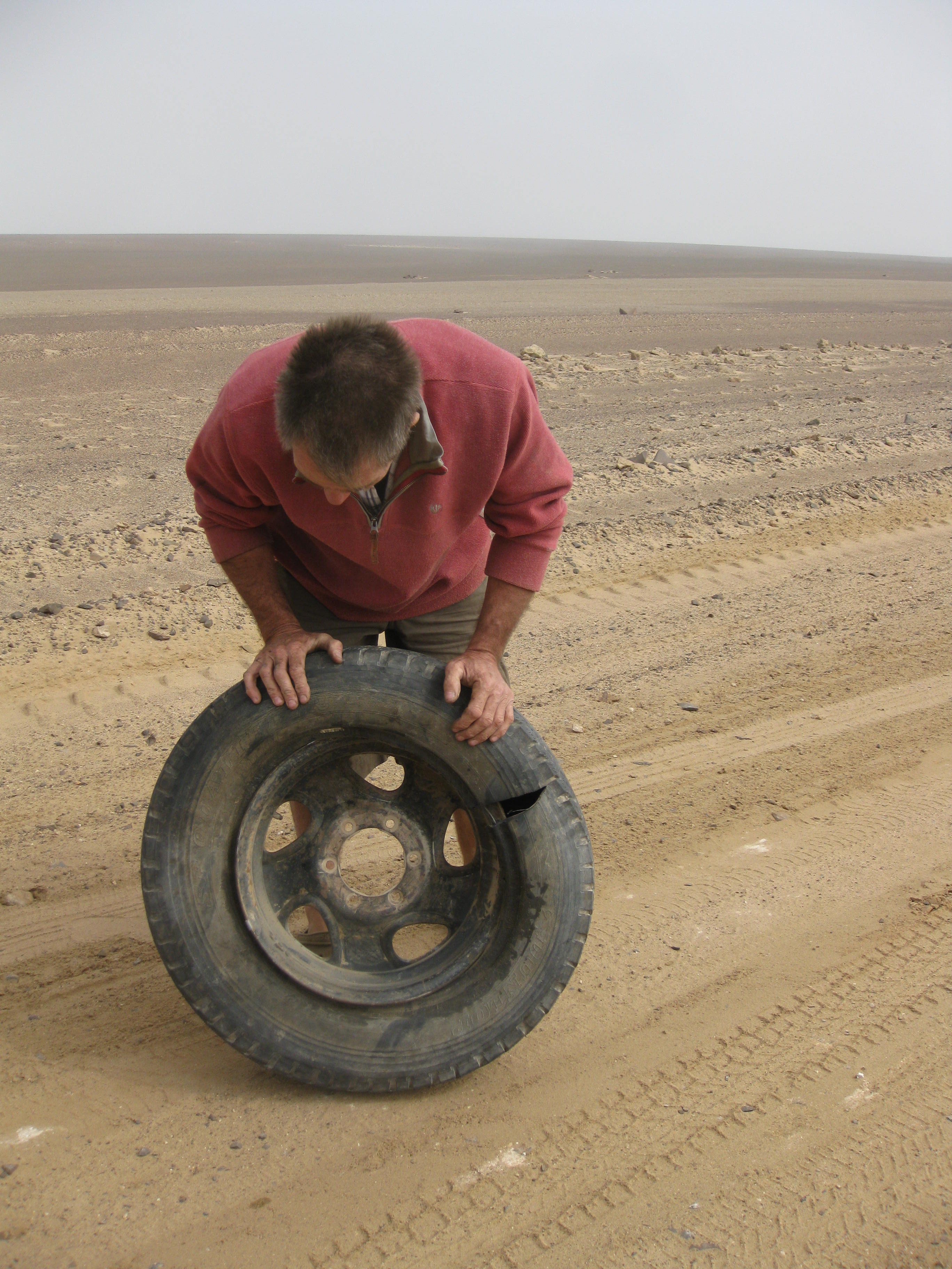 Namibia - Palmwag to Swakopmund, Skeleton Coast (33).jpeg