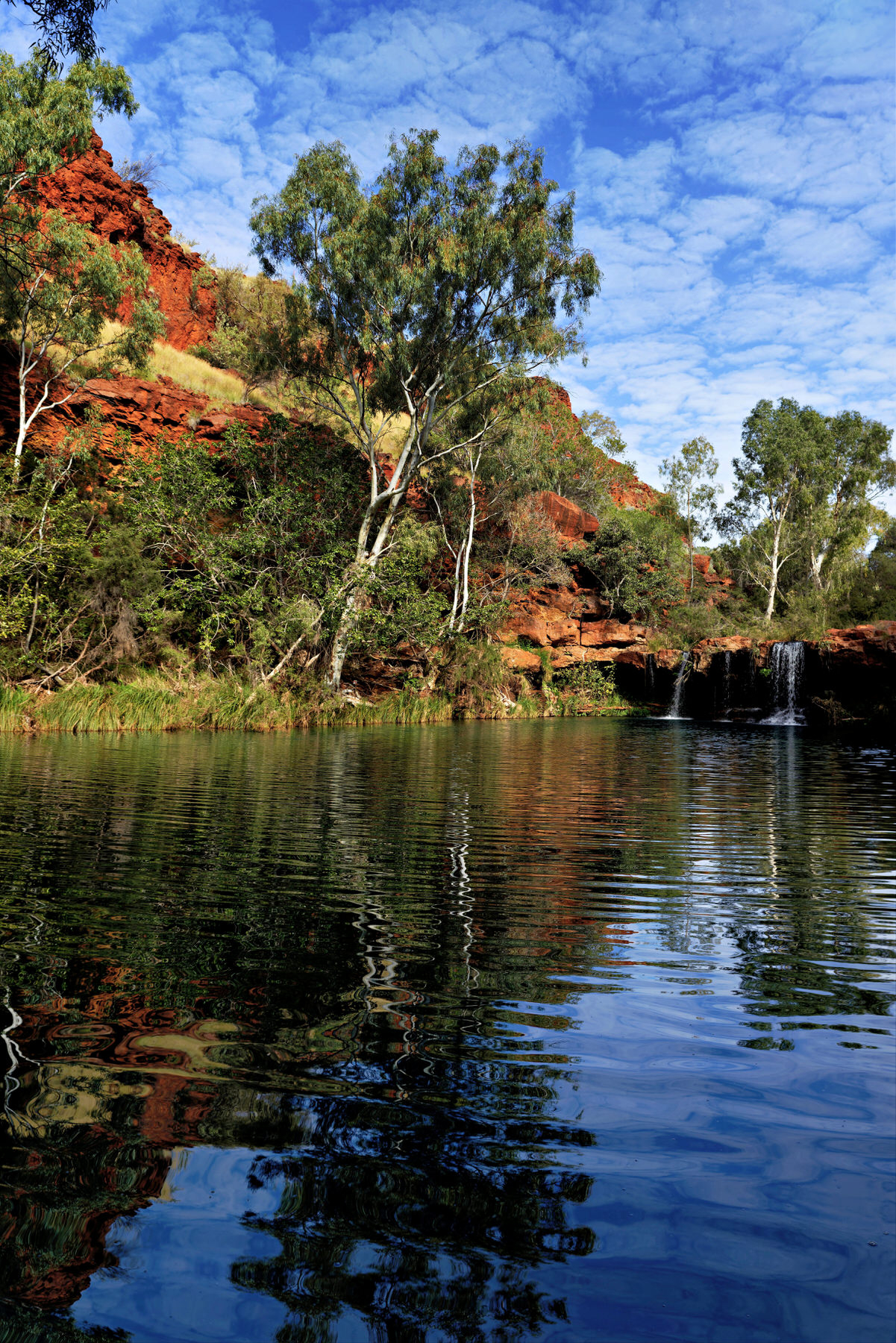 Pilbara RAW 2015  - 0069-DxO_DeepPRIME 3_Radiant.jpg