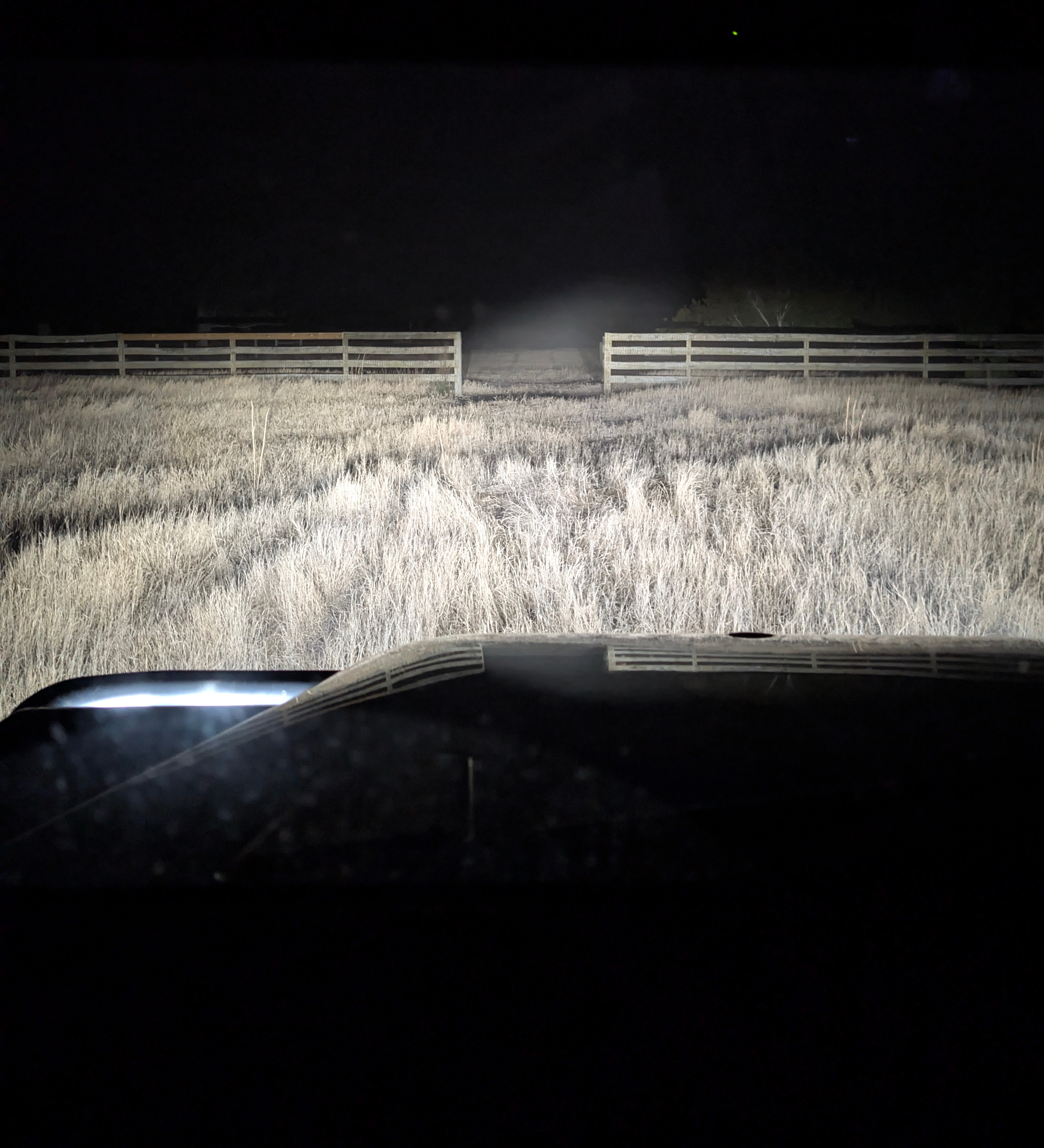 PXL_20250202_235725373 (1).jpg