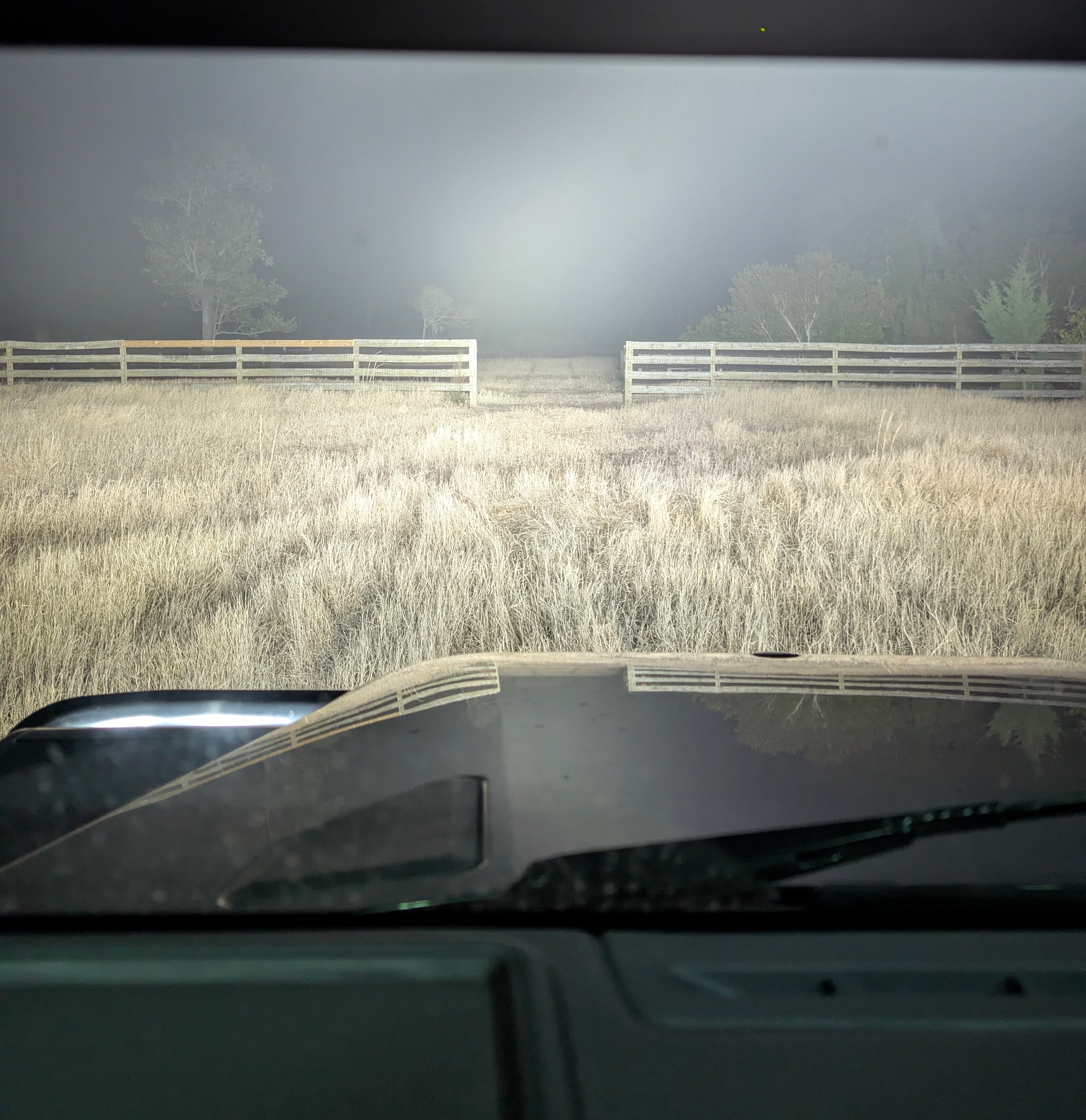 PXL_20250202_235733917 (1).jpg