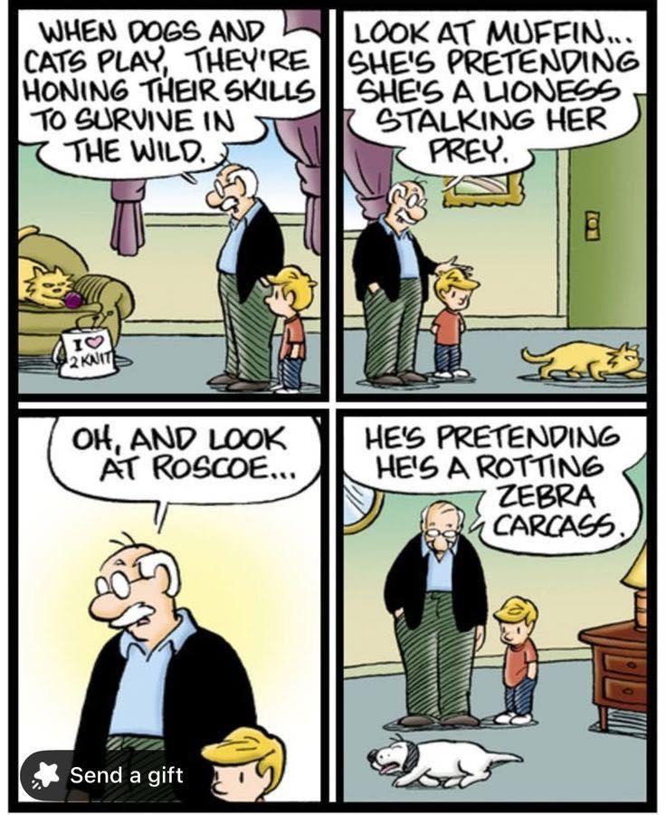 roscoe.jpg
