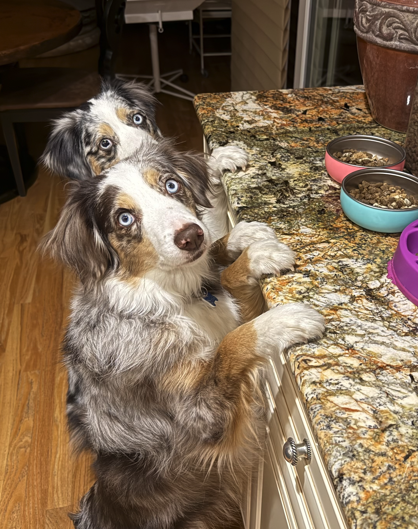 Screenshot 2026-02-14 at 10.51.28 PM.png