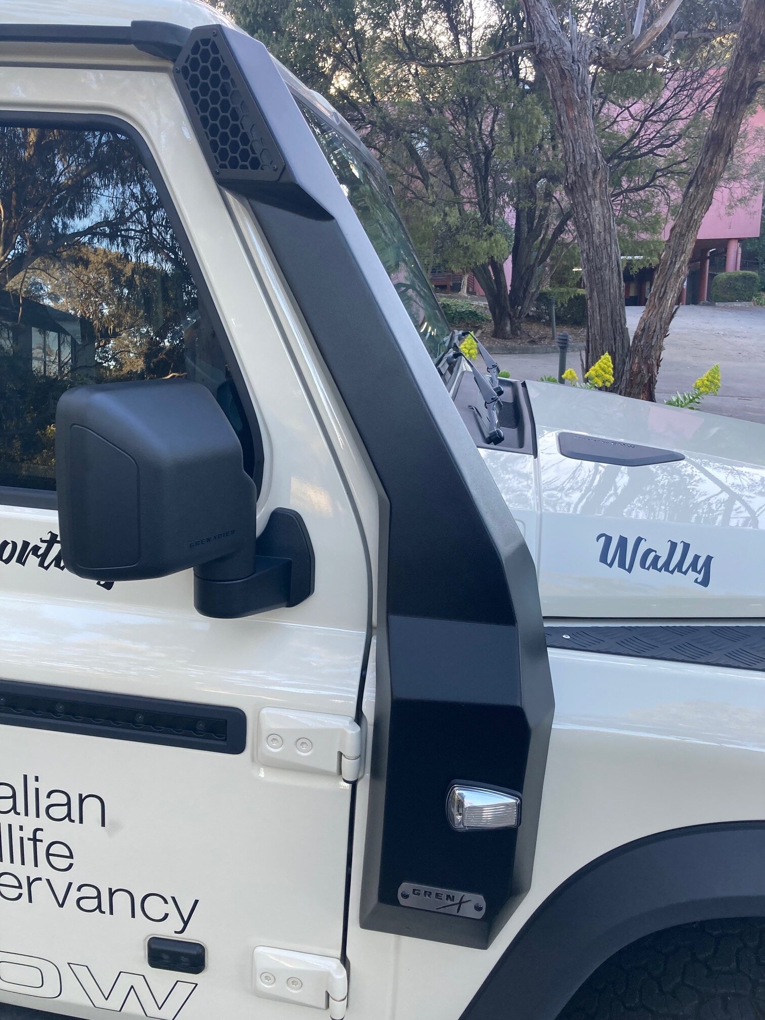 Snorkel IMG_9570.jpg