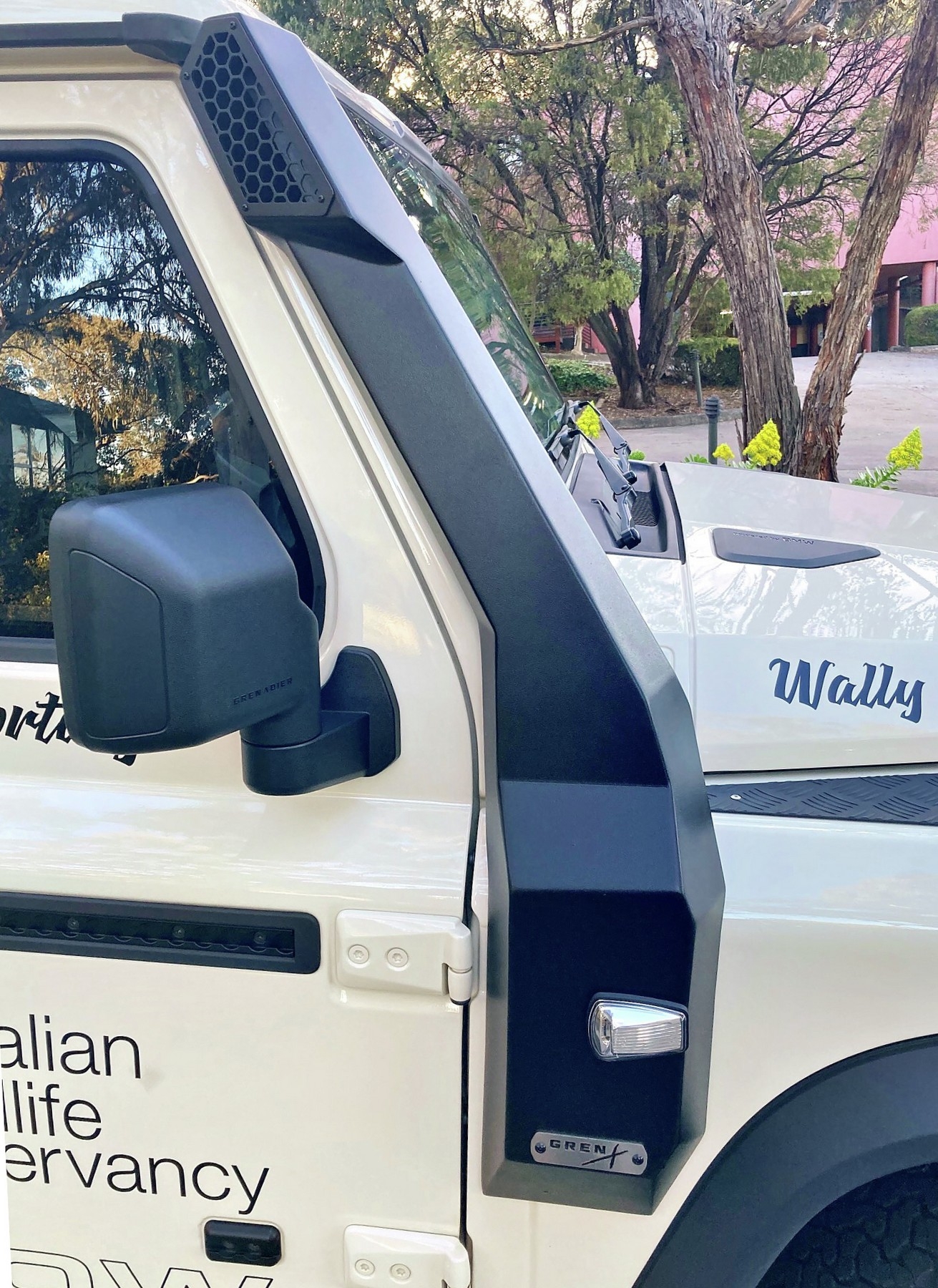 Snorkel IMG_9570_Radiant.jpg