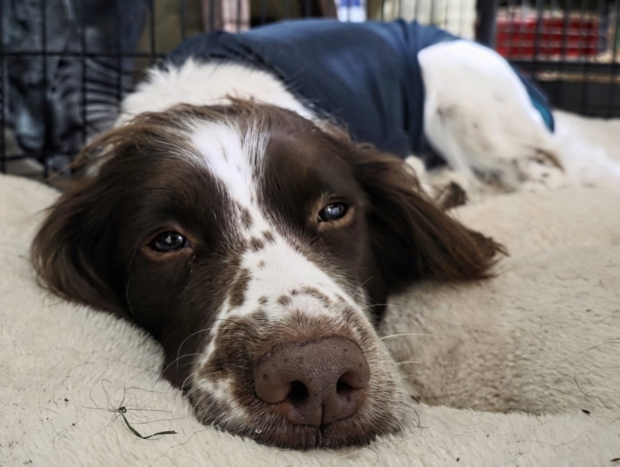 WhatsApp Image 2026-01-07 at 12.29.32.jpeg