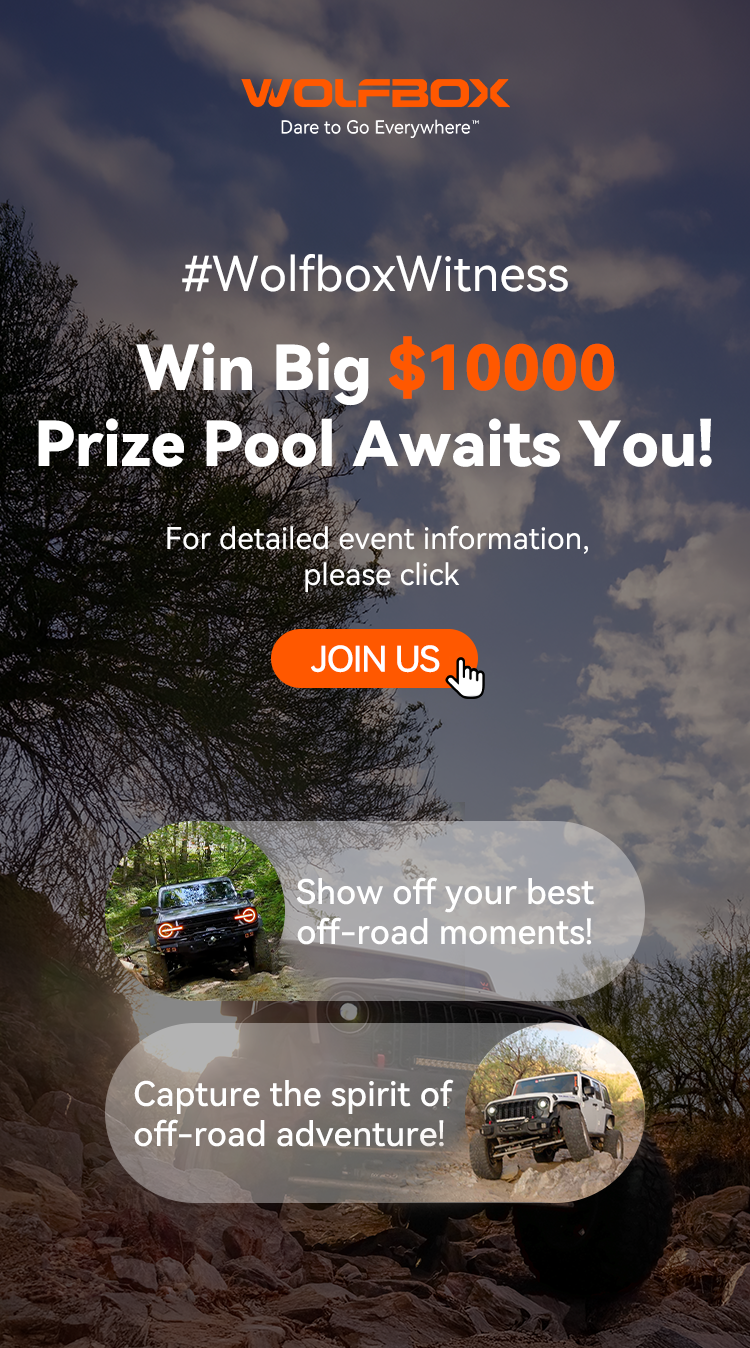 WolfboxWitness Contest.png